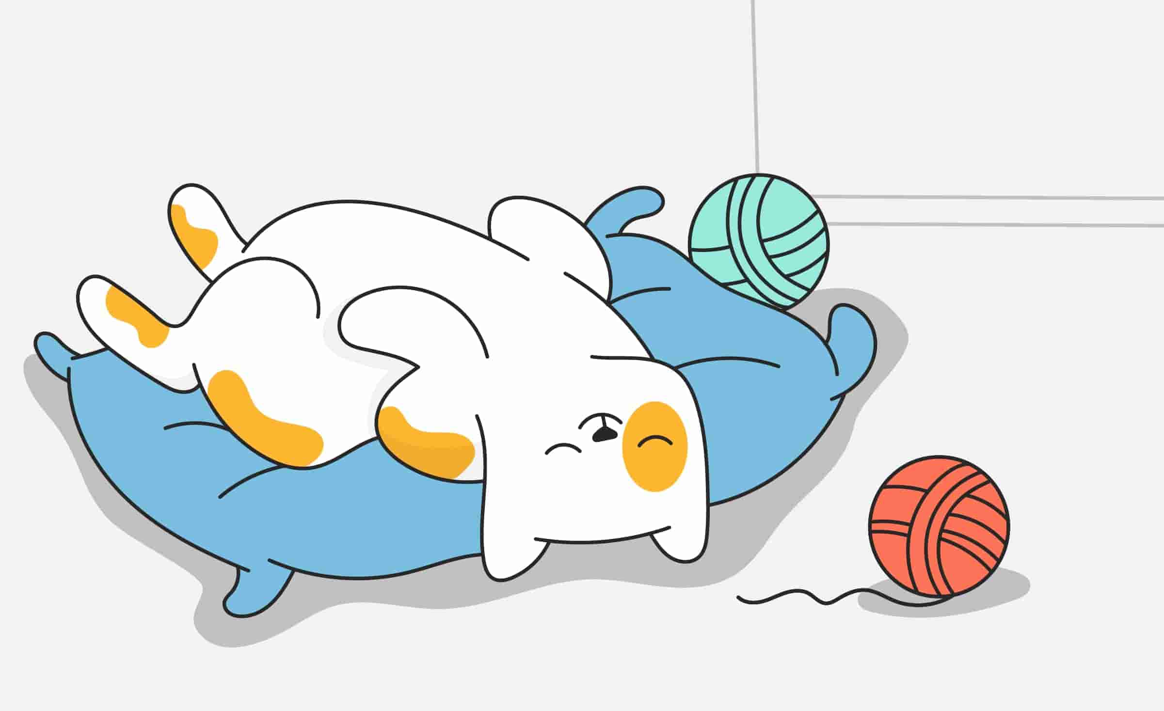 Sleeping Beauties: Why Do Cats Sleep So Much?