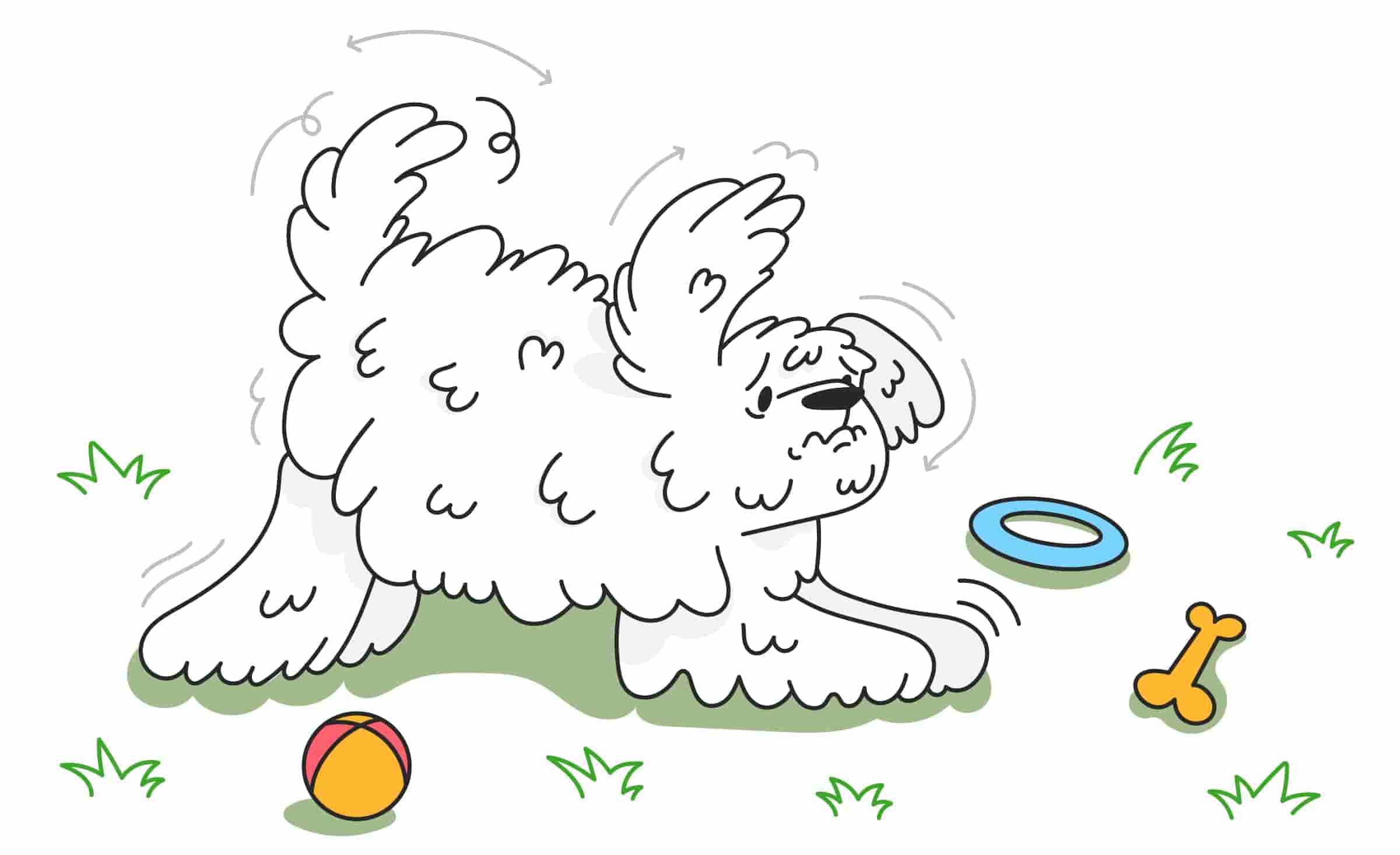 Why is My Dog Shaking, Shivering, or Trembling