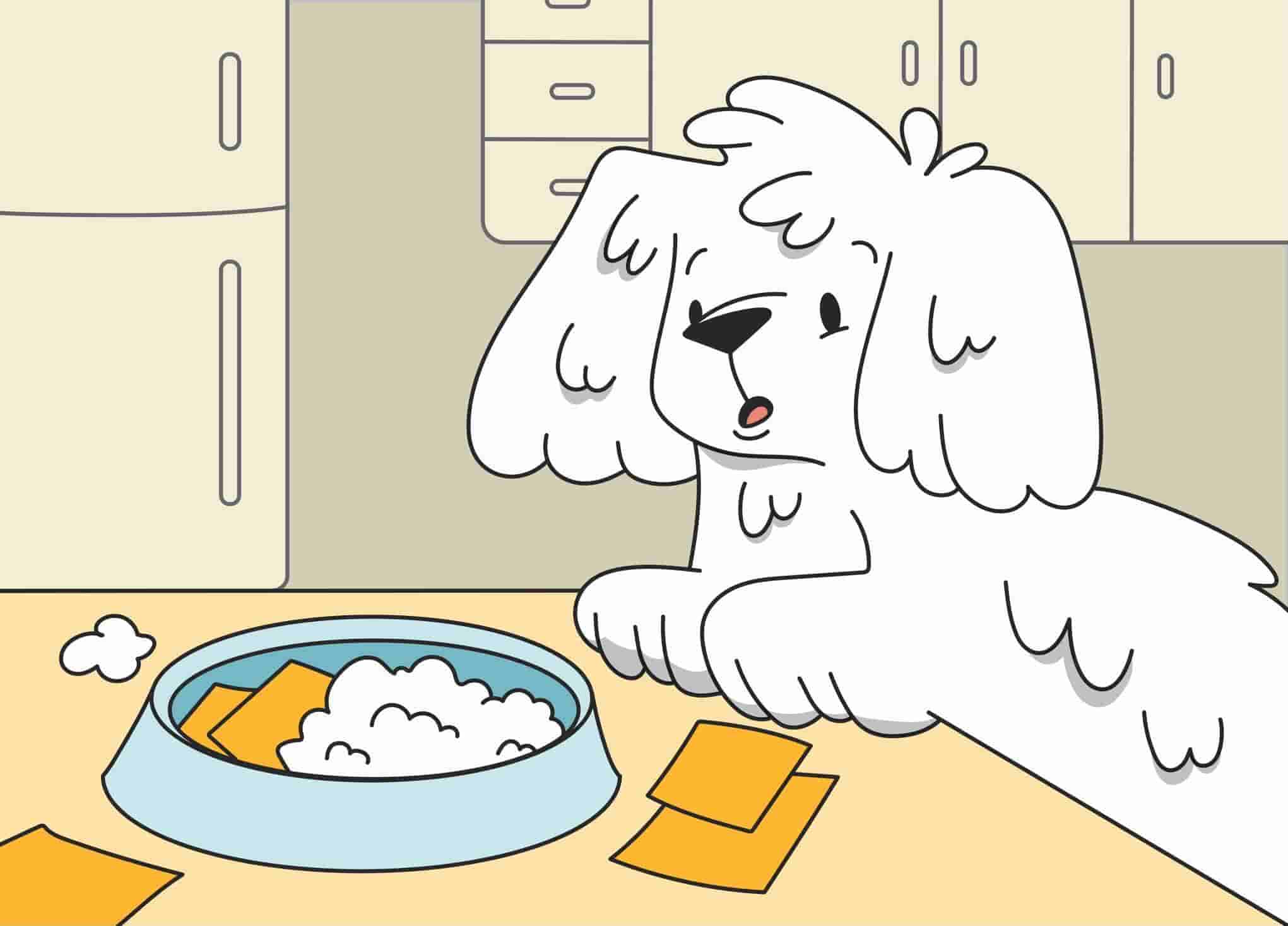 Dogs and Dairy: Can Dogs Eat Dairy Products?