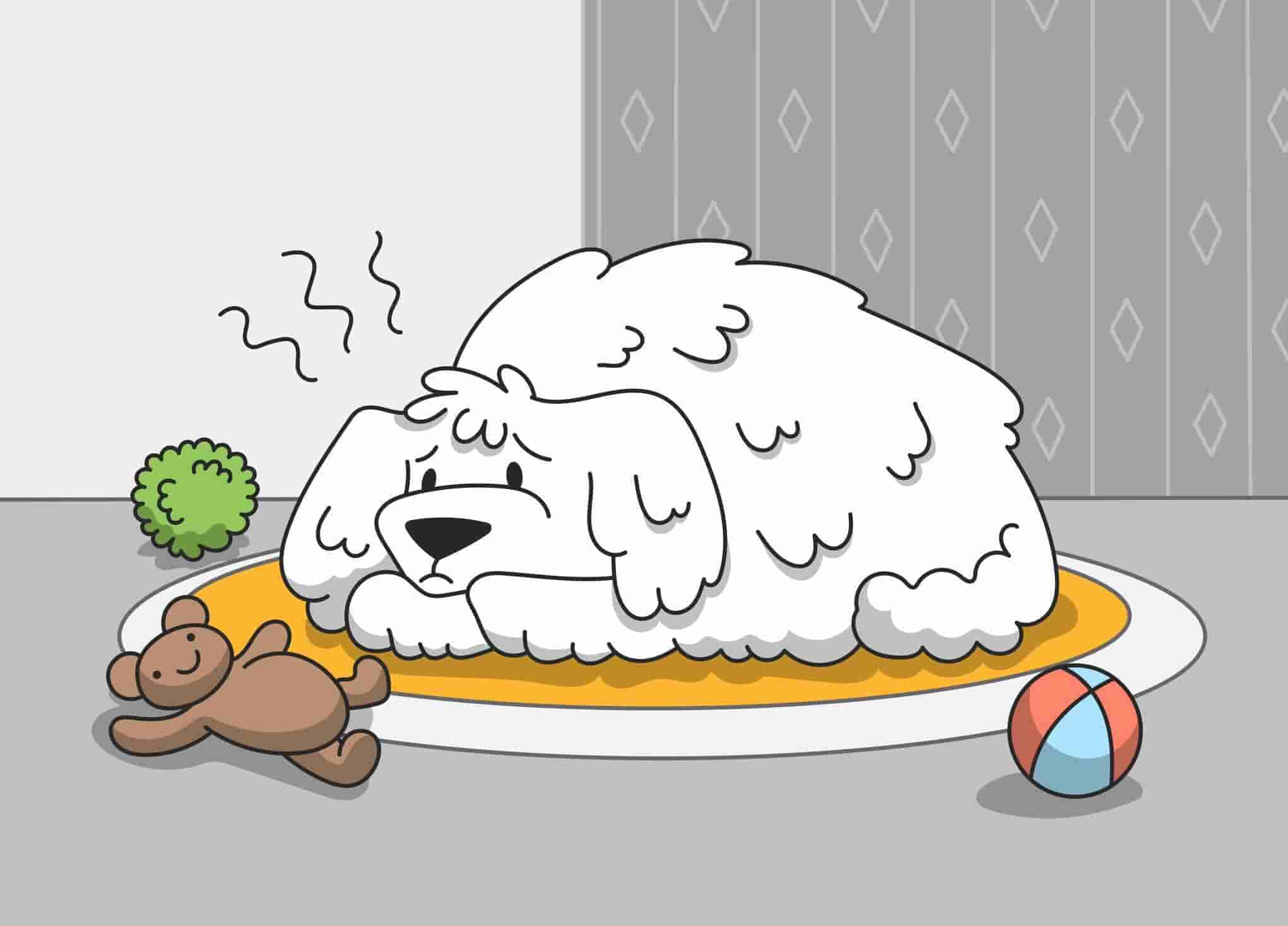 A Look Into The Possibility of Autism in Dogs: Can Dogs Be Autistic?