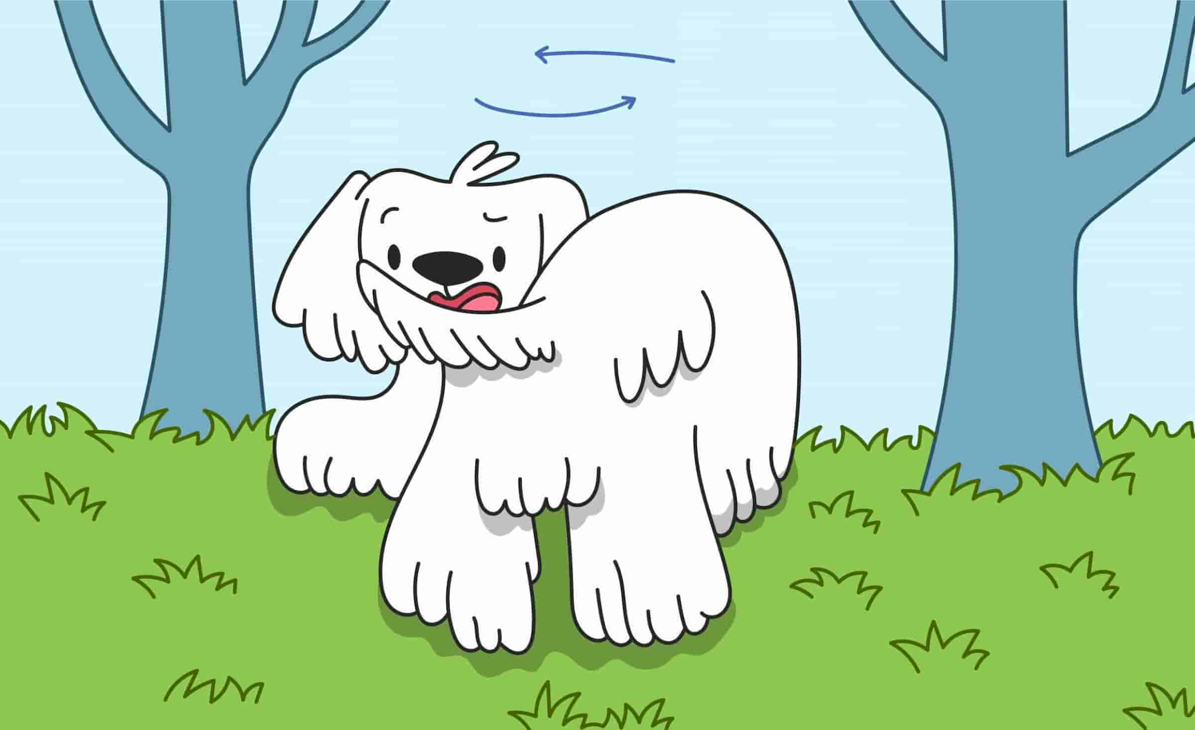 Tail Chasing and Tail Biting in Dogs: Why Do Dogs Chase Their Tails?