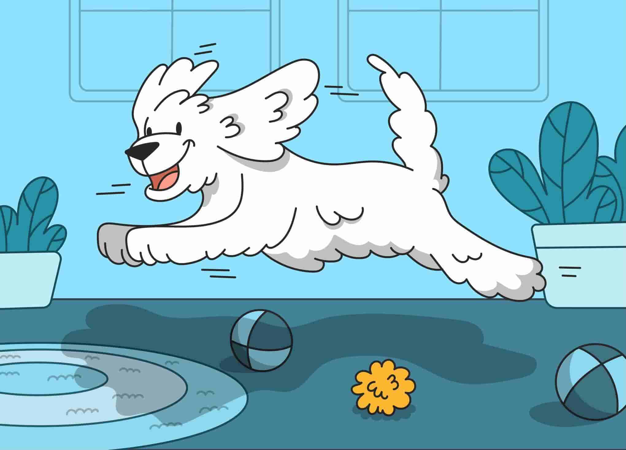 Why Your Dog Is Jumping and How To Stop It