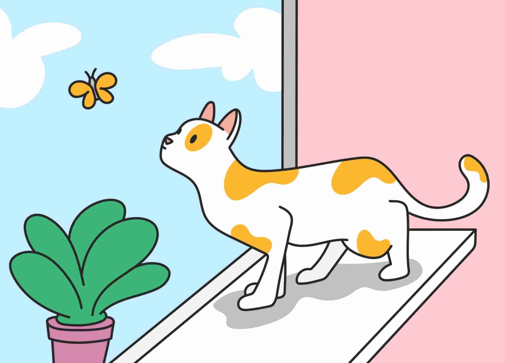 Why Does My Cat Stare At Me and Other Objects?