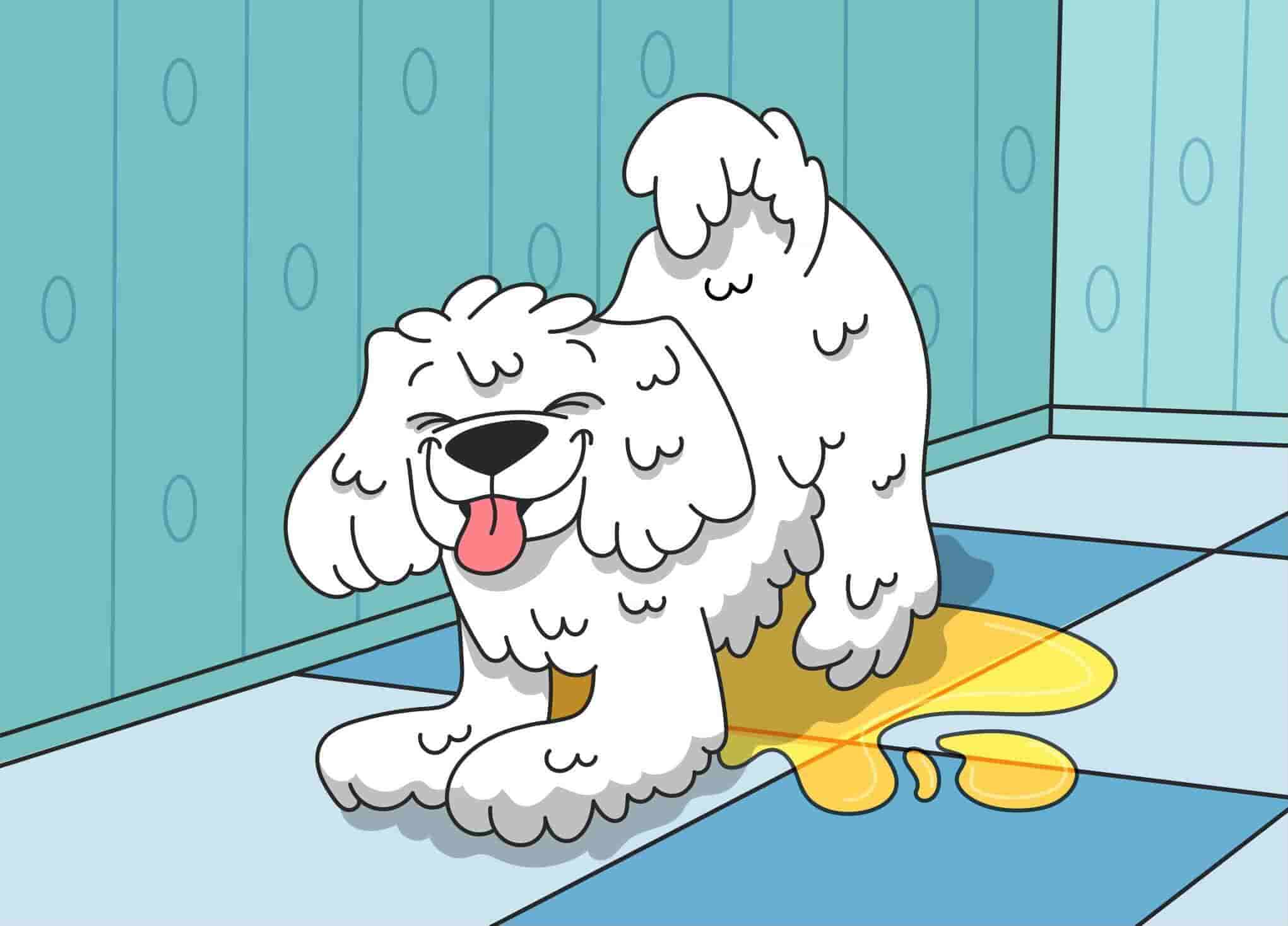 Submissive and Excitement Urination in Dogs