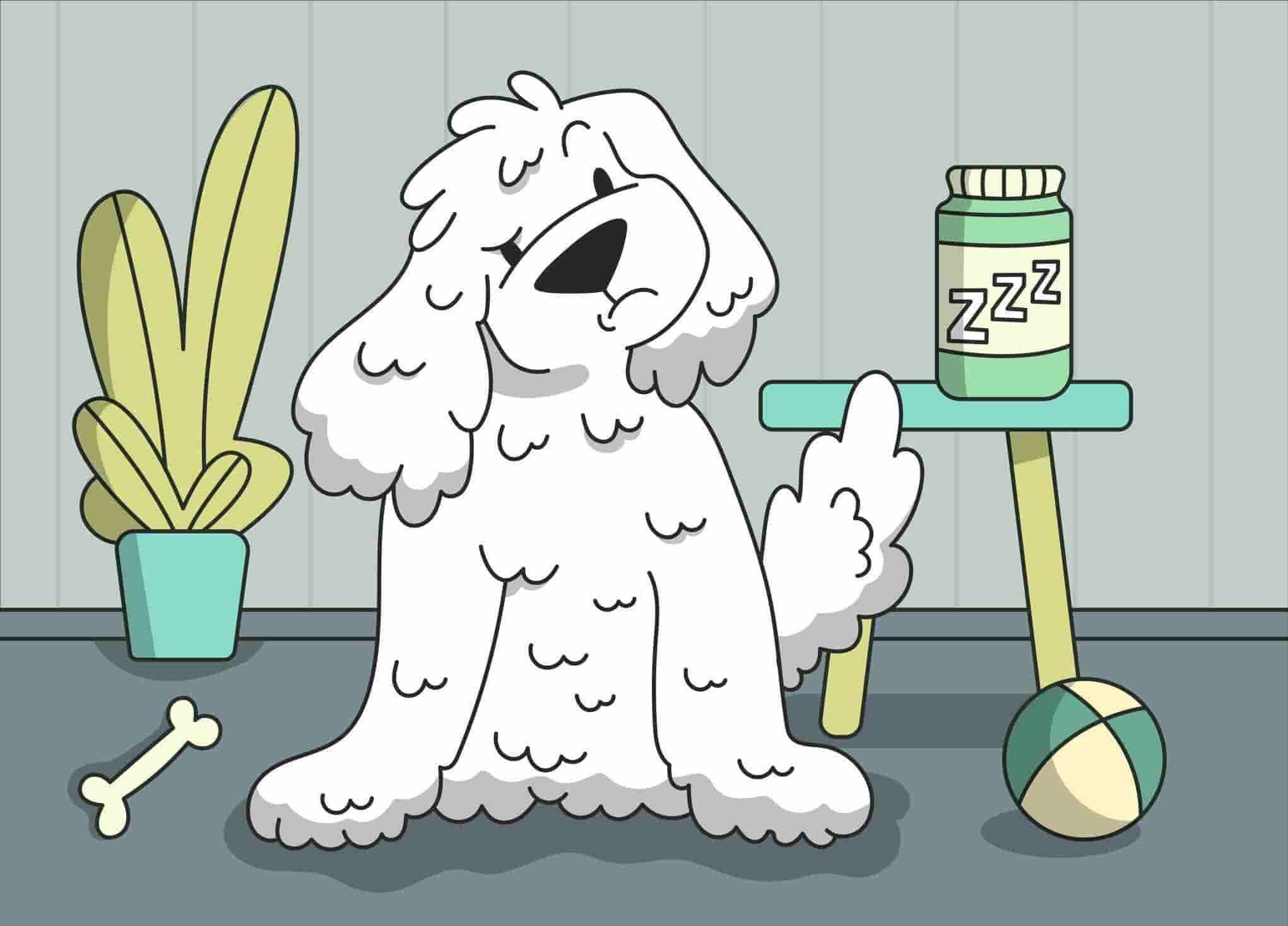 Dogs and Melatonin: Safety, Dosage, and Side Effects