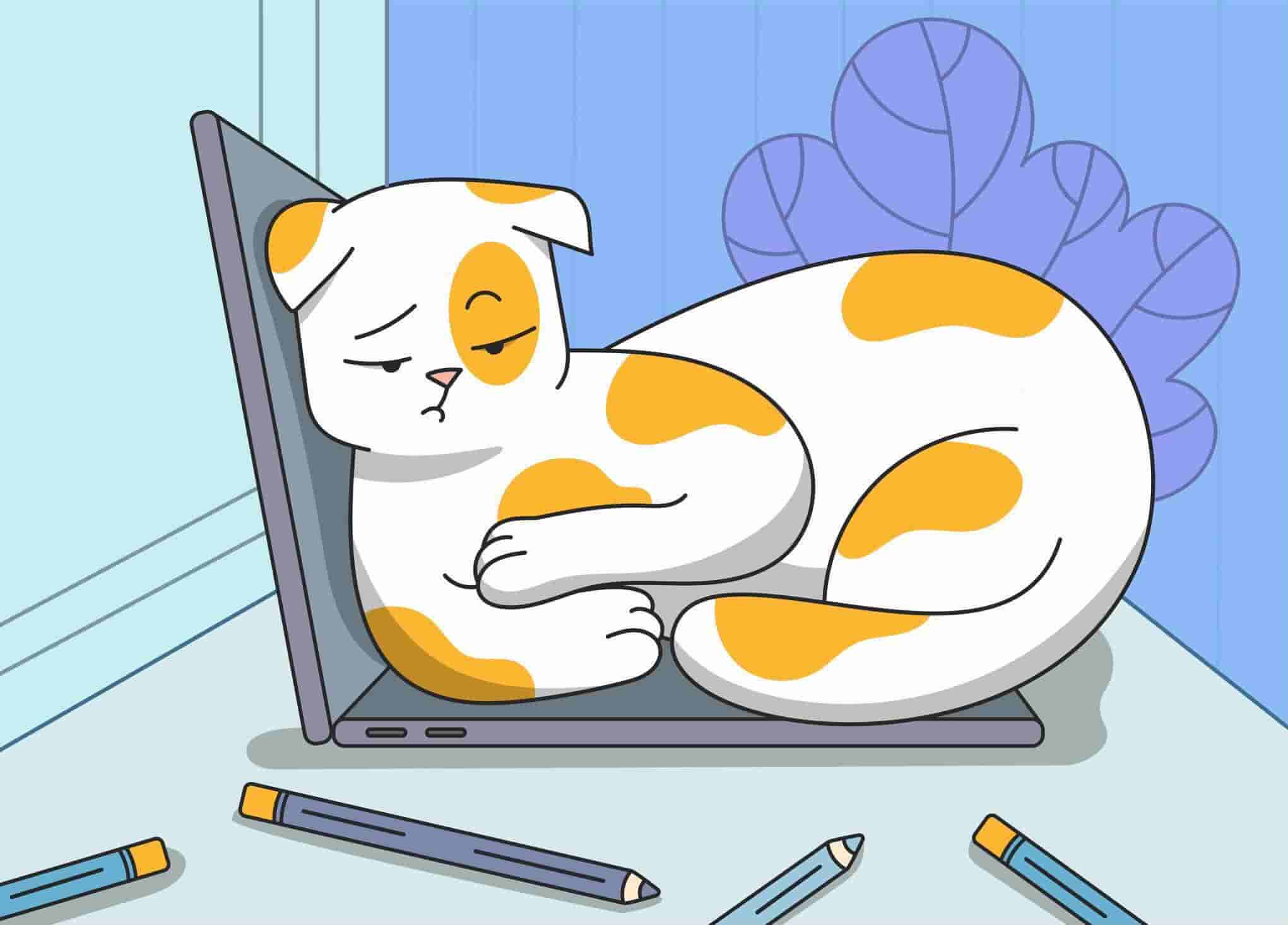 Is My Cat Bored? Signs of Boredom in Cats