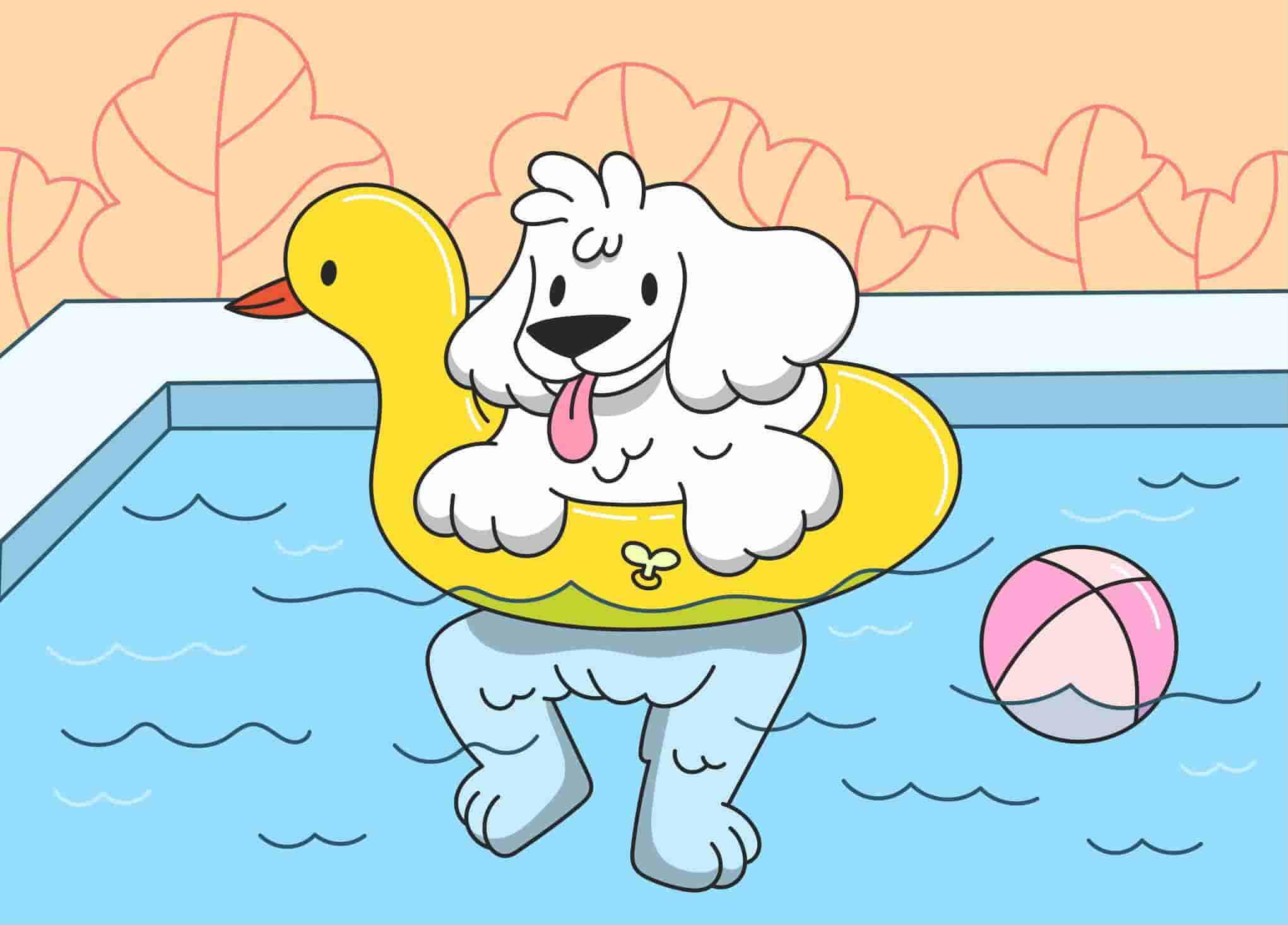 How to Teach a Dog to Swim and Have Fun in Water