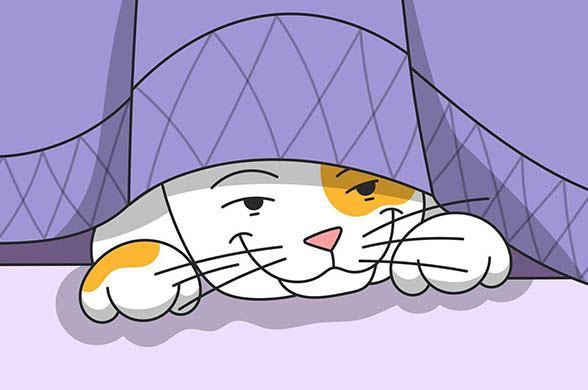 Crouching Tiger, Hidden Kitty: How to Deal with a Cat That’s Hiding