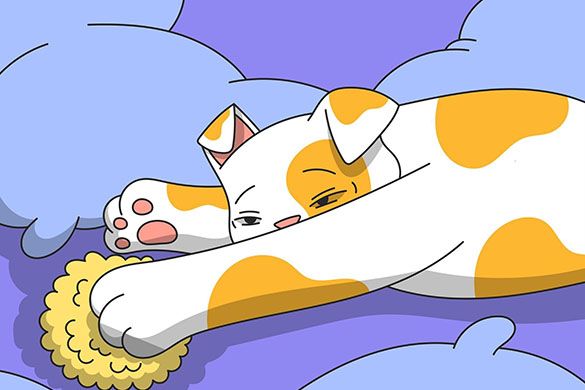 Why Do Cats Sleep With Their Eyes Open?