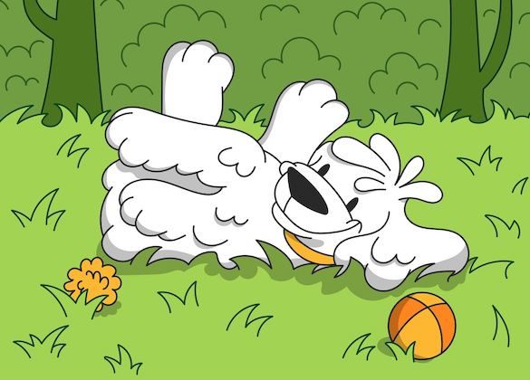 Why Do Dogs Roll in Grass?