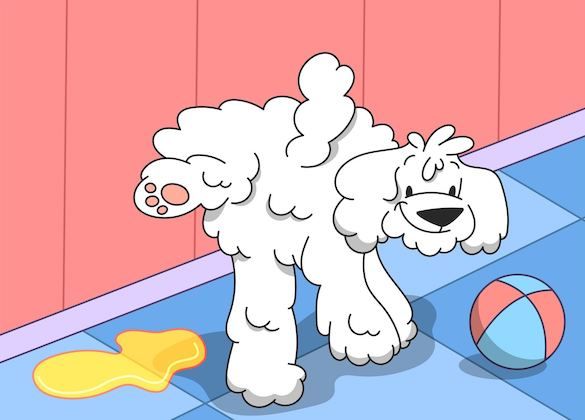 Inappropriate Urination: Why Dogs Pee Indoors and How to Make it Stop