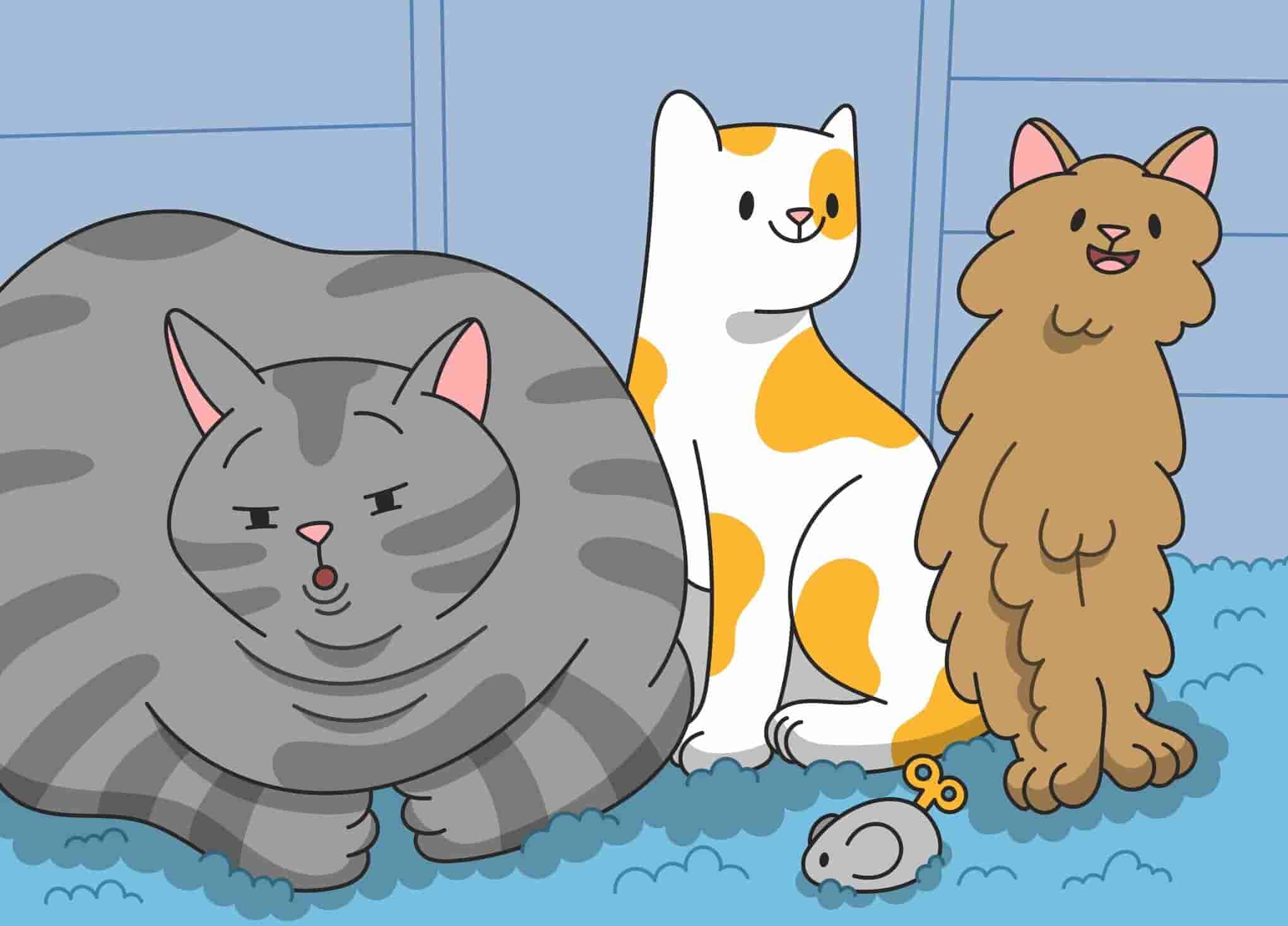 How To Help Your Cat To Lose Weight