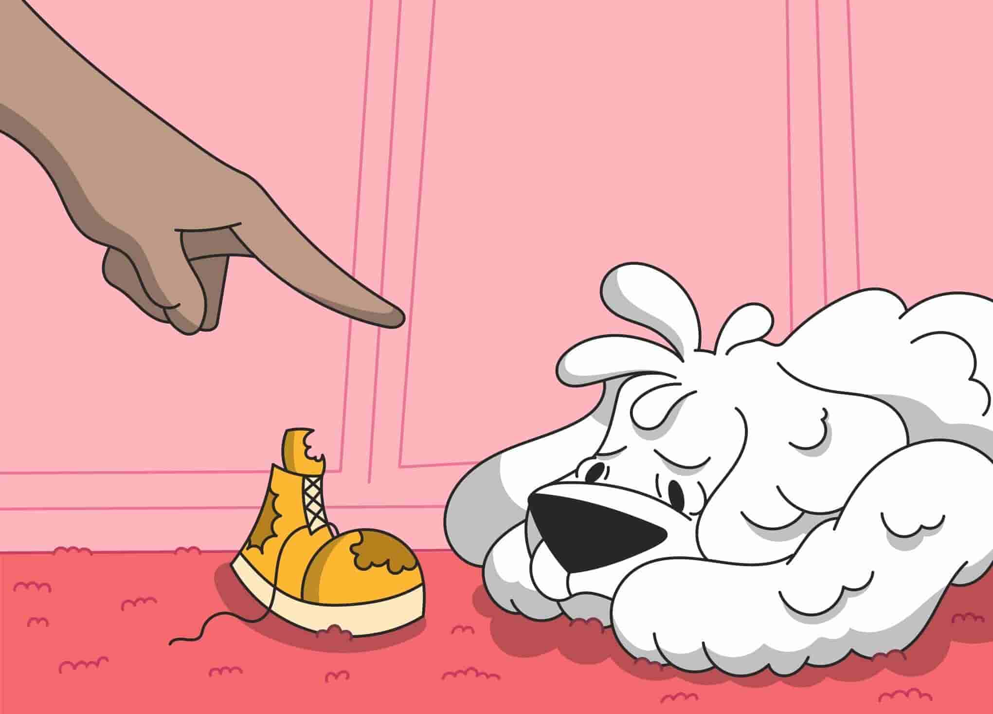 How to Discipline a Dog Without Punishment