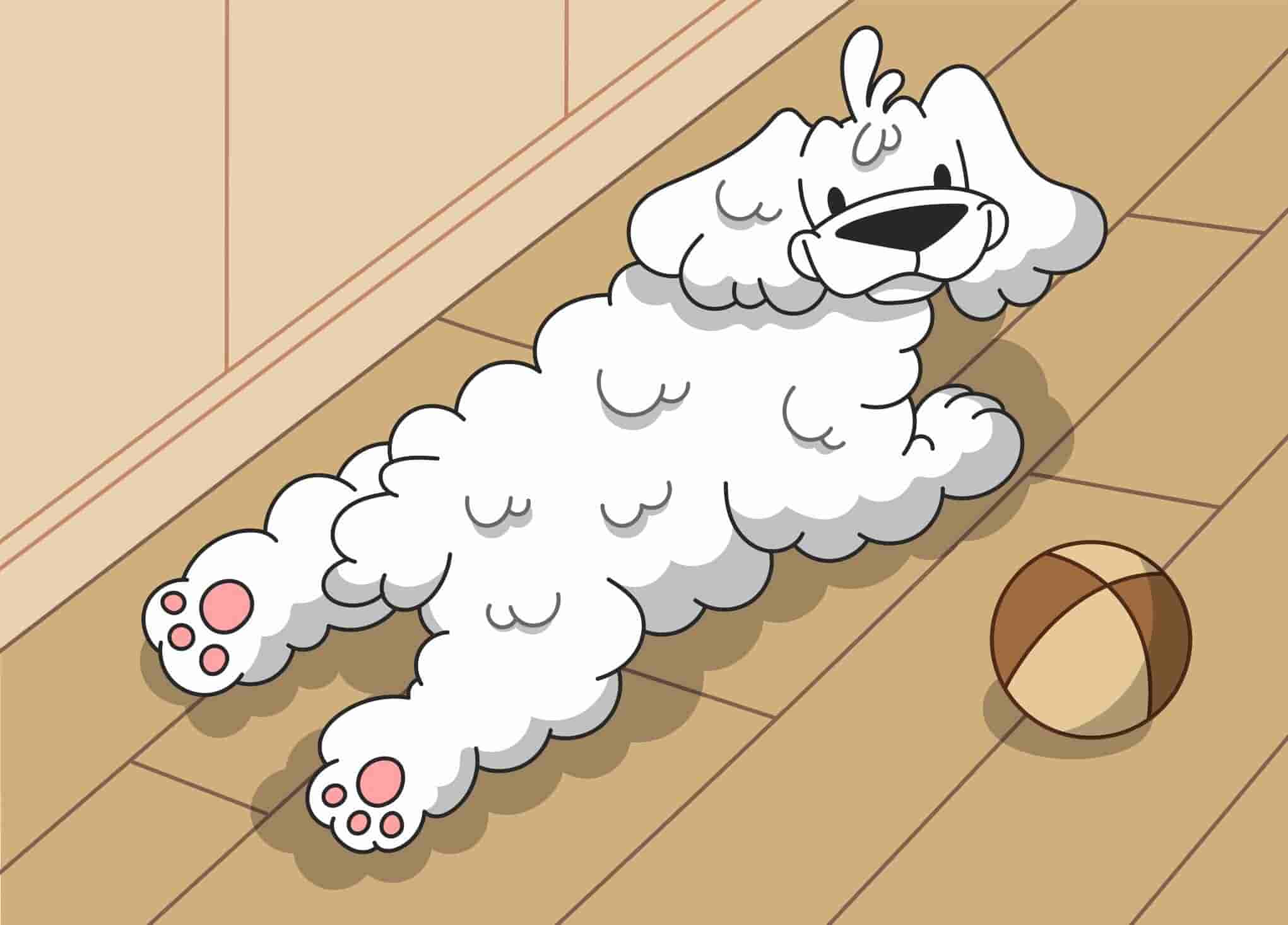 What is a Sploot and Why are Dogs Splooting