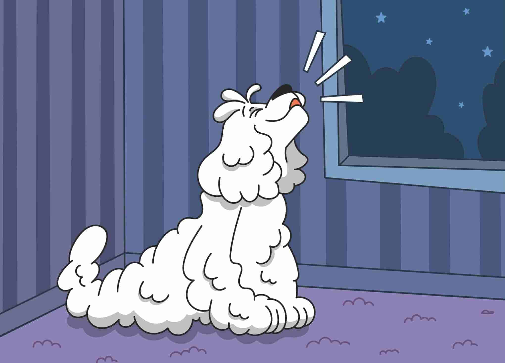 Why Do Dogs Howl and How to Stop It