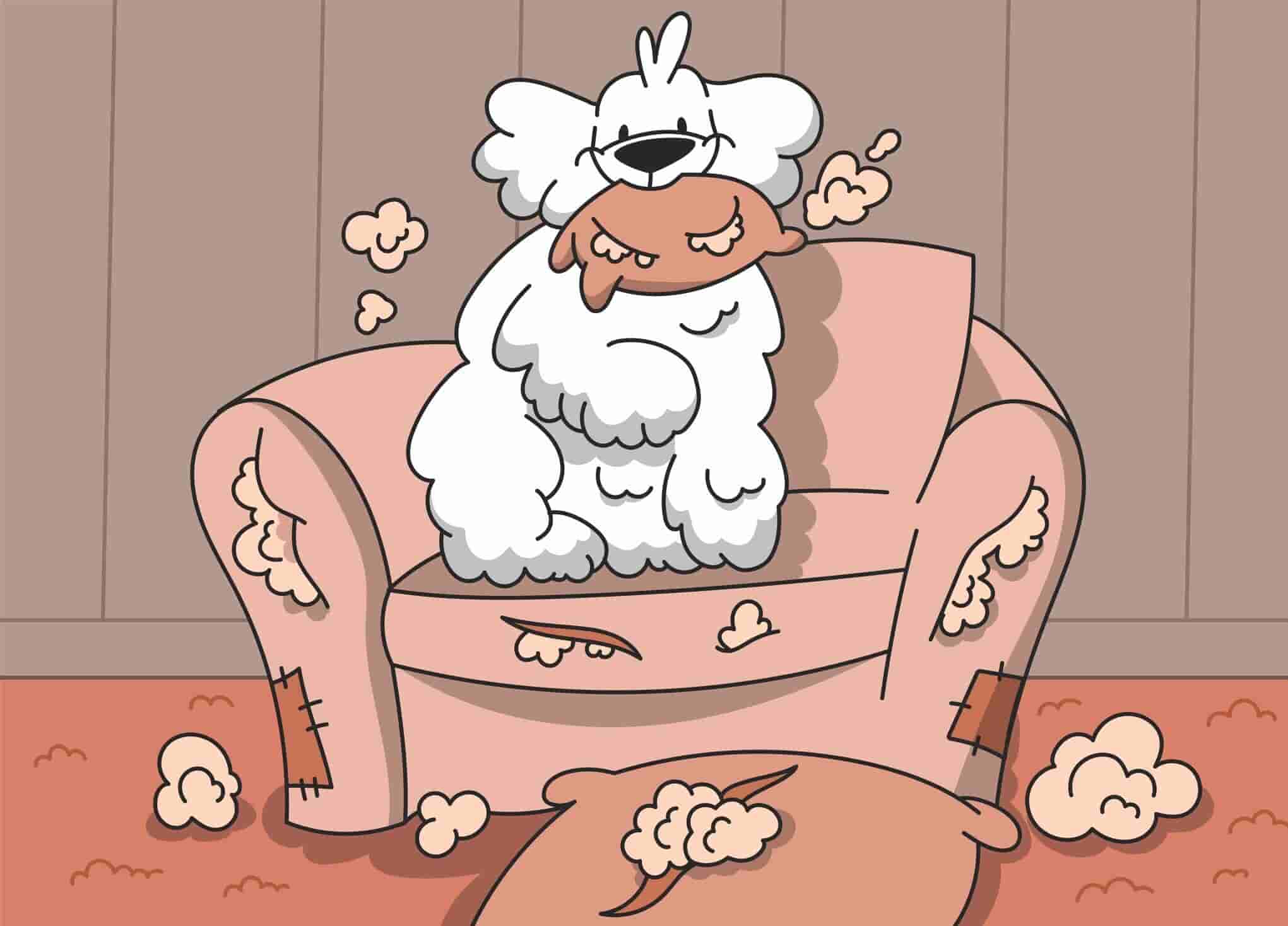 How to Stop a Dog From Chewing