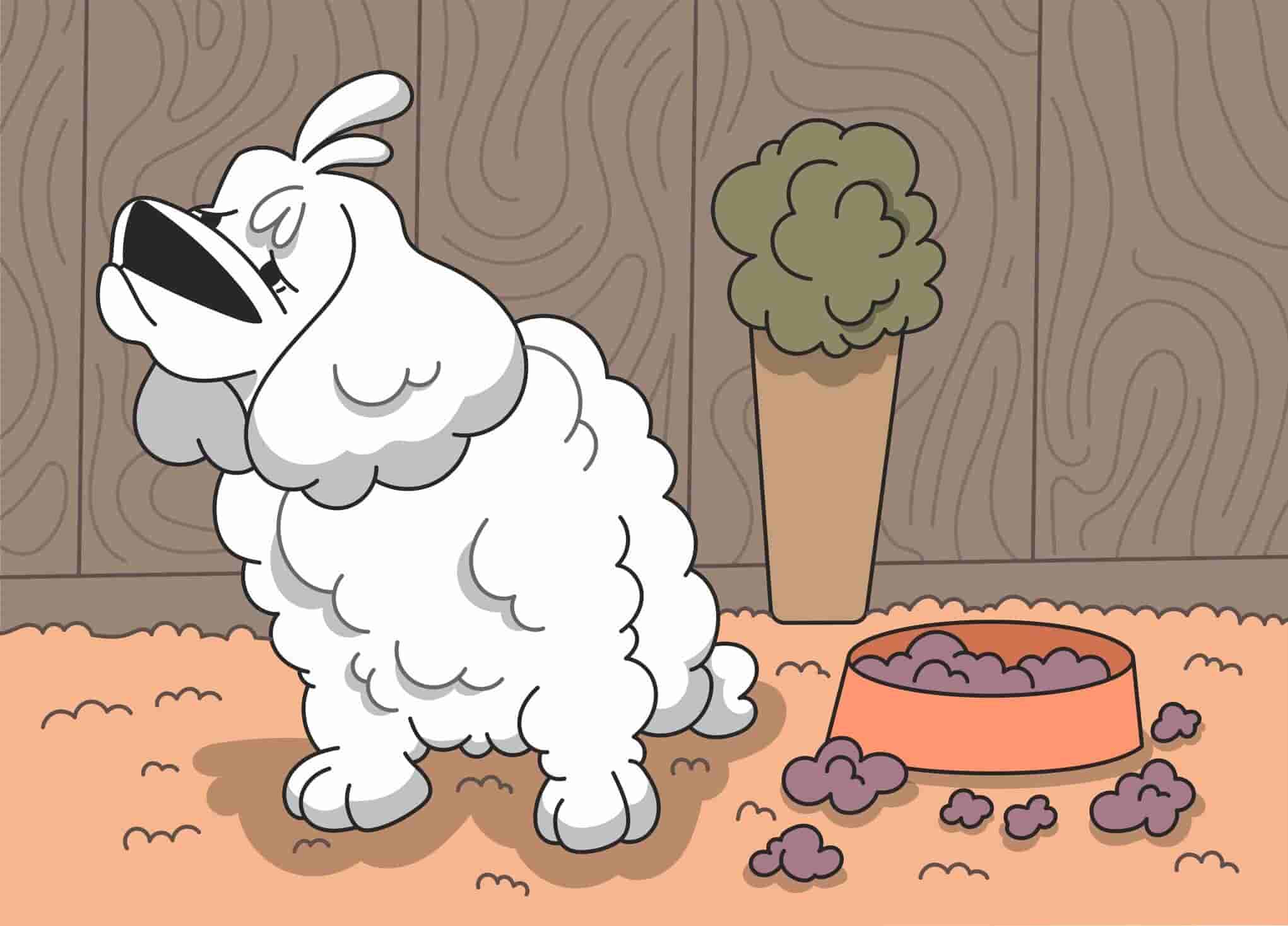 My Dog is Not Eating: Reasons & Solutions For Loss of Appetite in Dogs