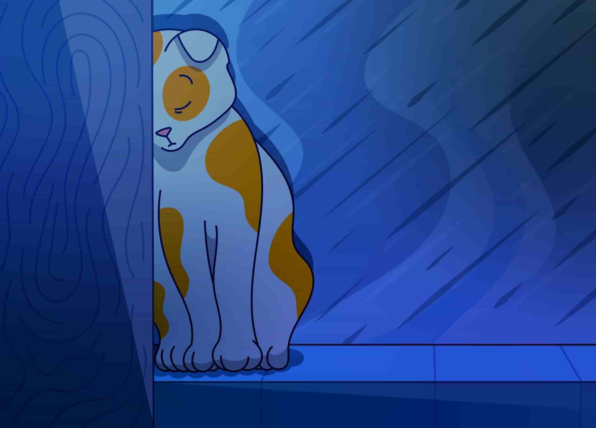 Is My Cat Depressed? The Sad Cat Decoded