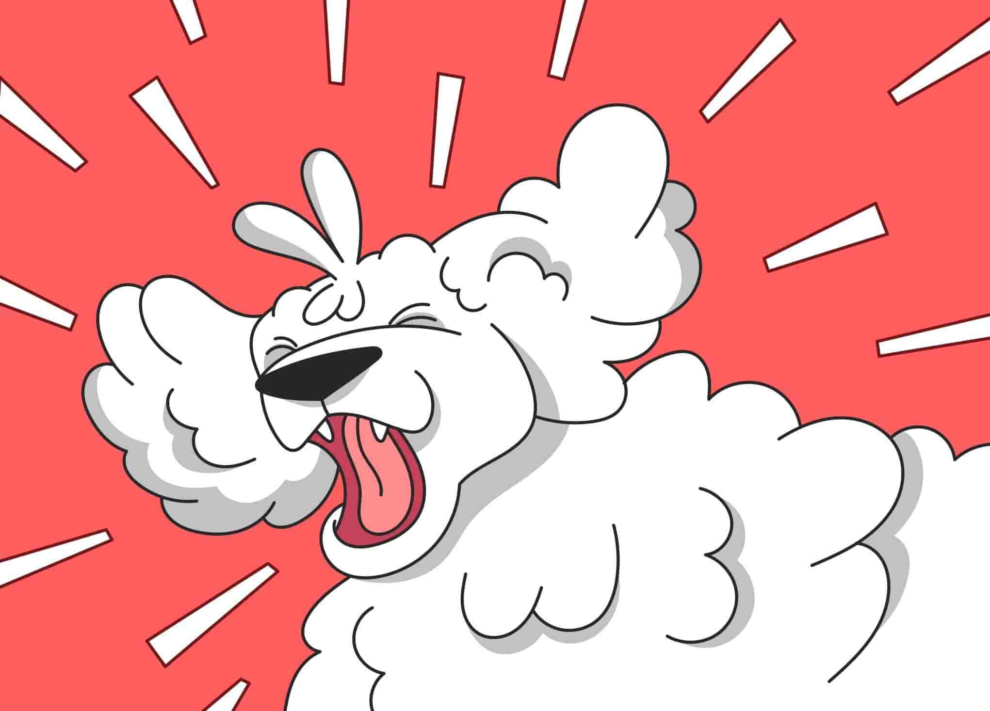 Is Cat Sneezing a Reason for Concern?