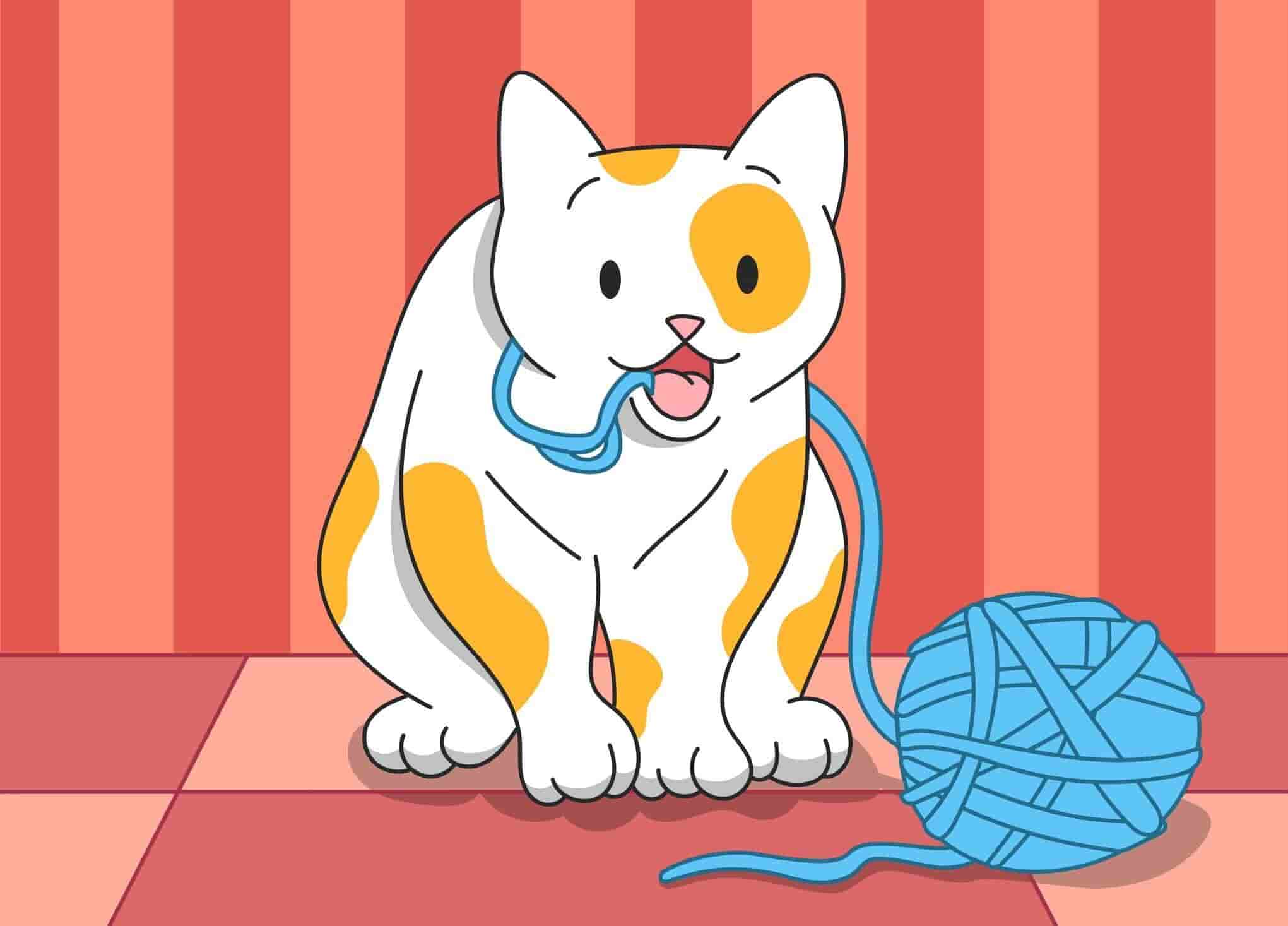 What is Pica in Cats? Definition, Reasons, Treatment