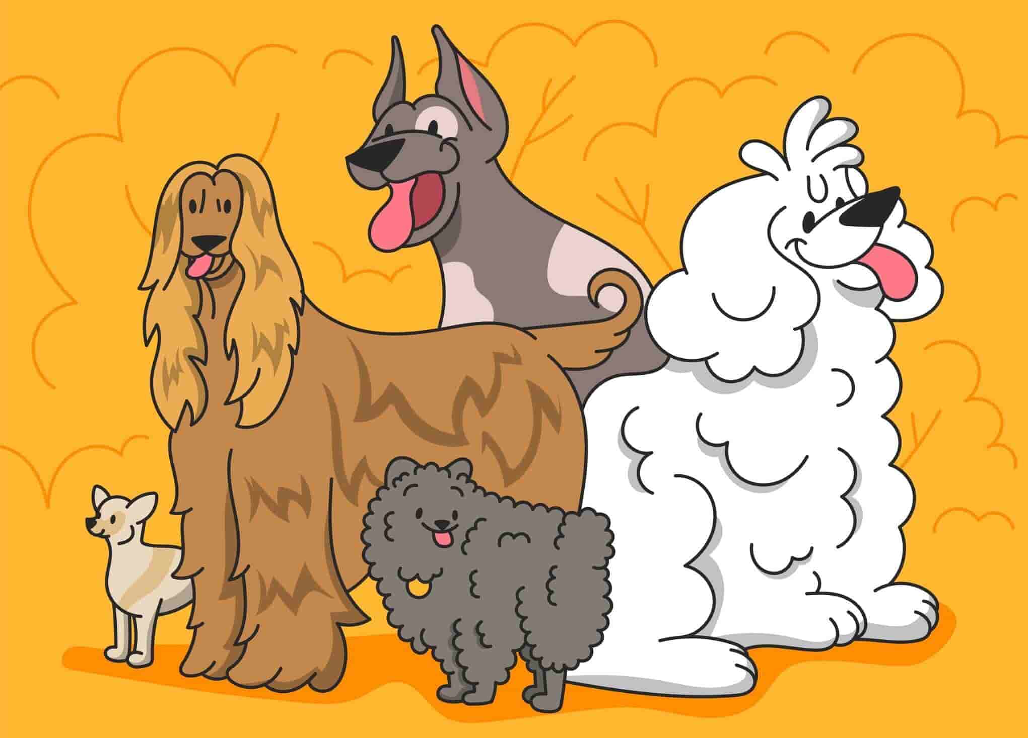 Choosing a Pup Breed 101: 10 Easiest Dog Breeds for Novice Owners