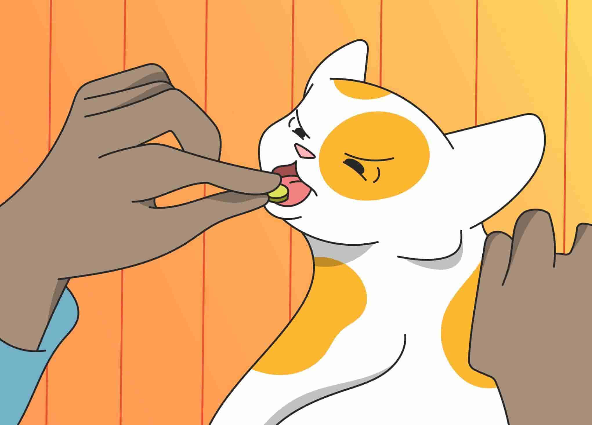 Bitter Pill to Swallow? How to Get a Cat to Take a Pill or Liquid Medicine