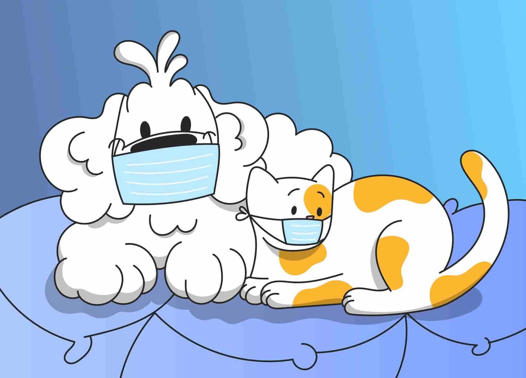 Coronavirus in Pets: Can Dogs and Cats Get Infected?