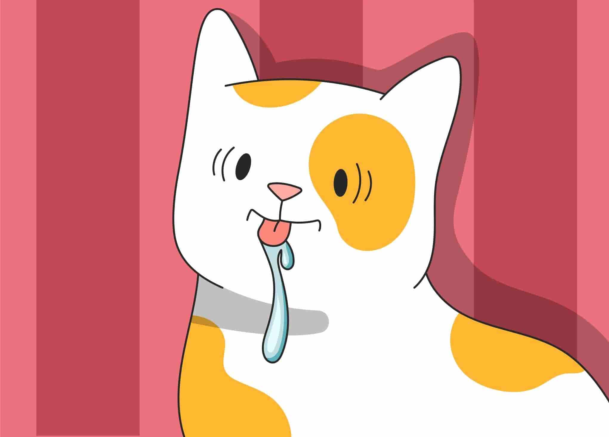Why Is My Cat Drooling?