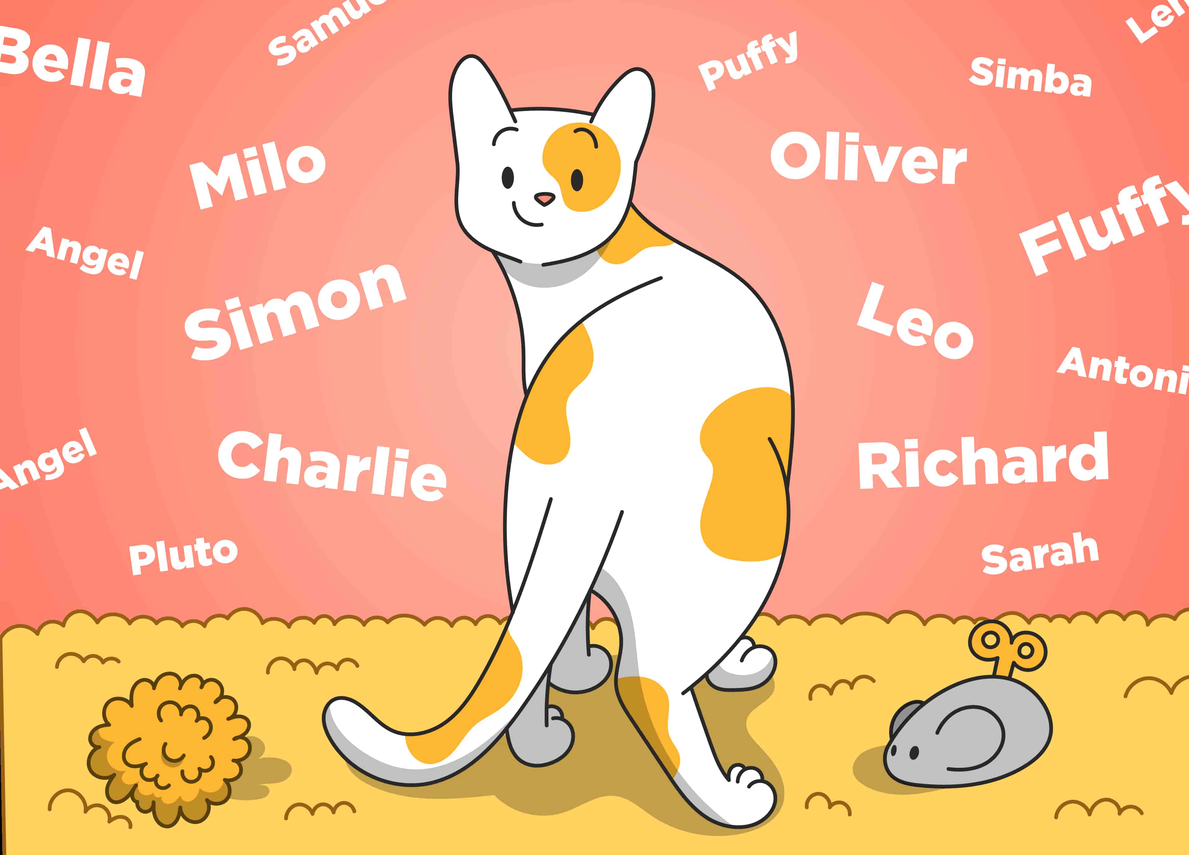 How to Name a Cat