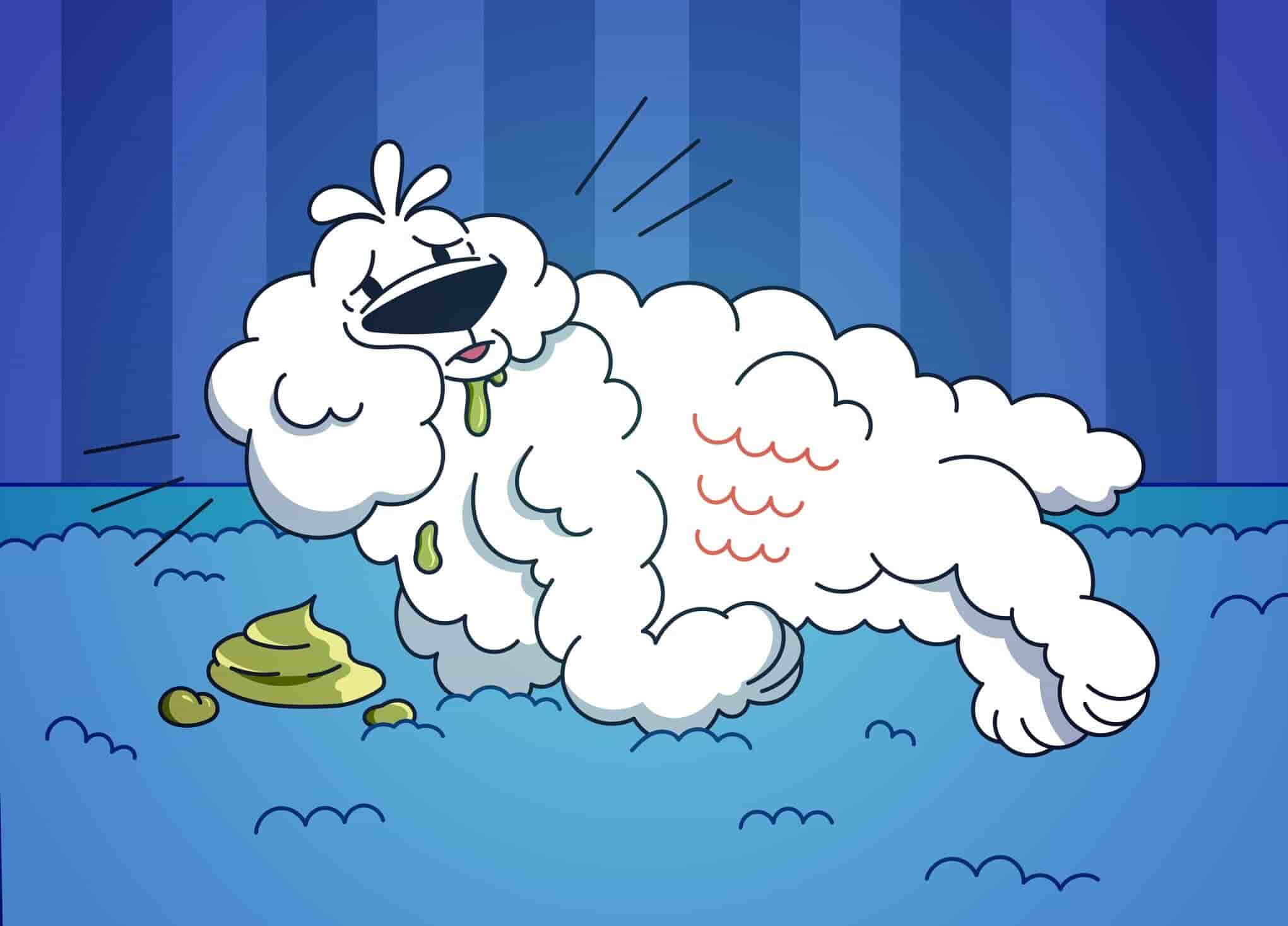 7 Critical Signs Your Pet Needs Immediate Veterinary Attention