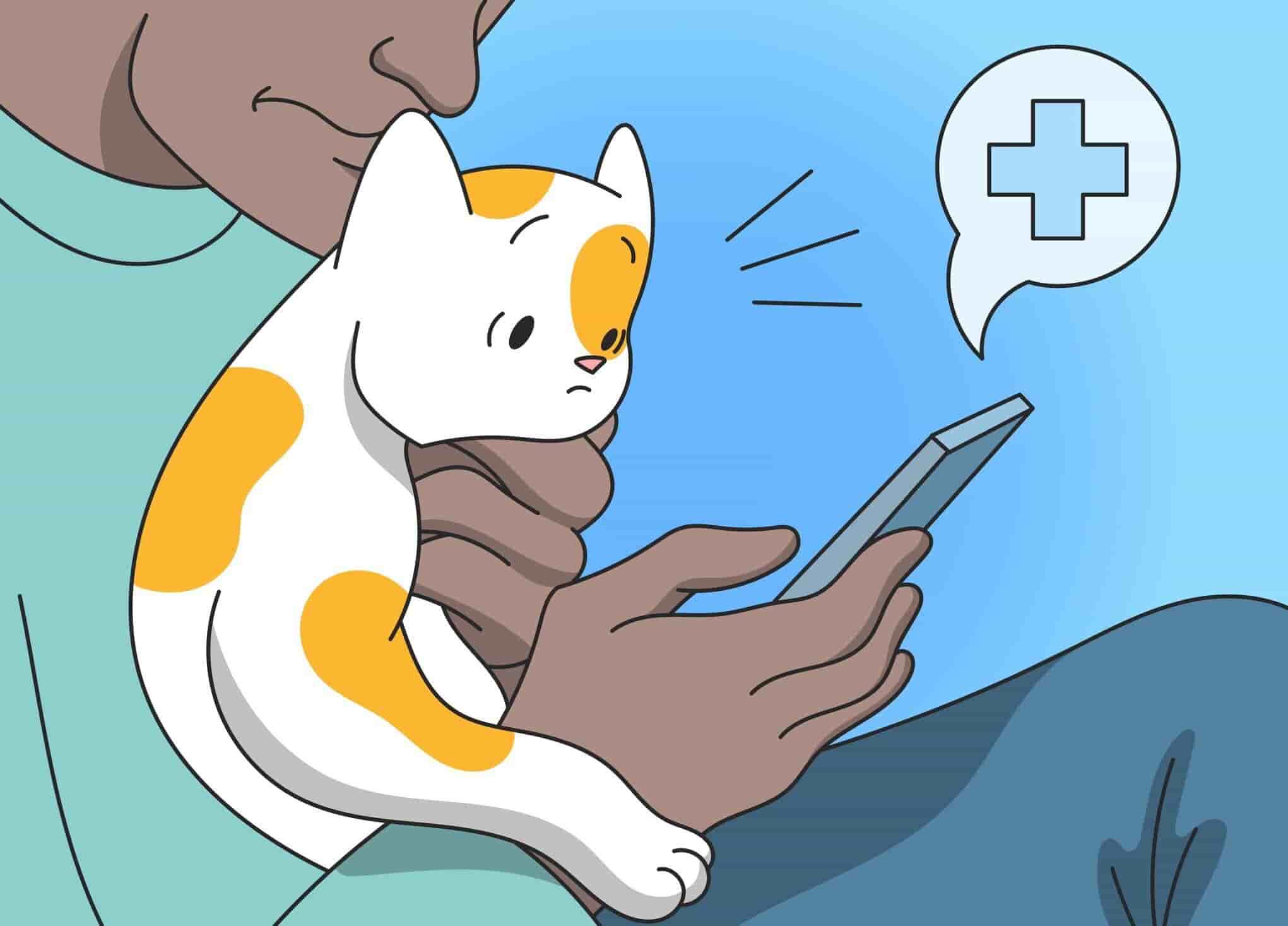 How Much Does The Vet Cost?