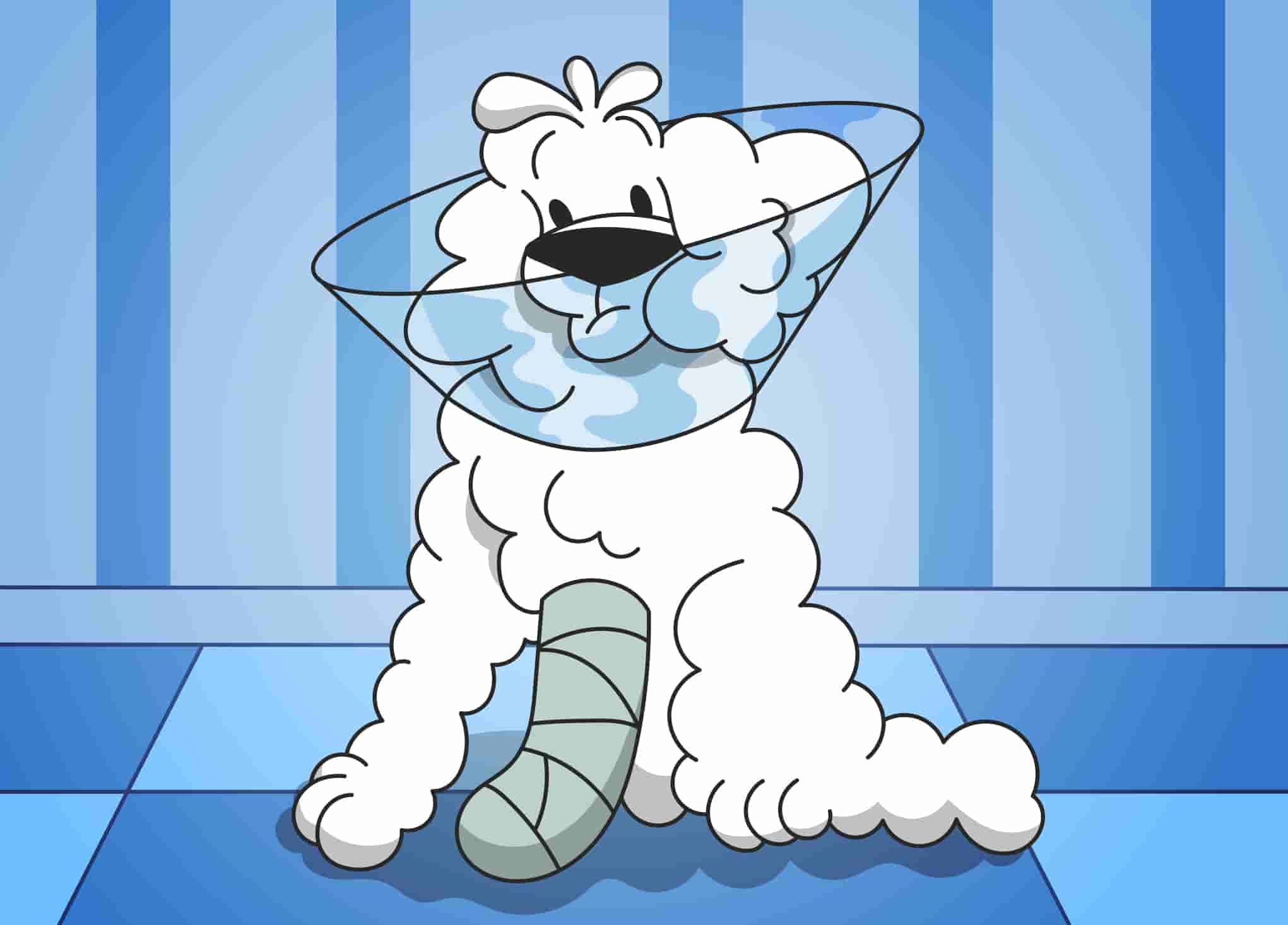 Dog Wounds: How To Heal A Dog Wound Fast