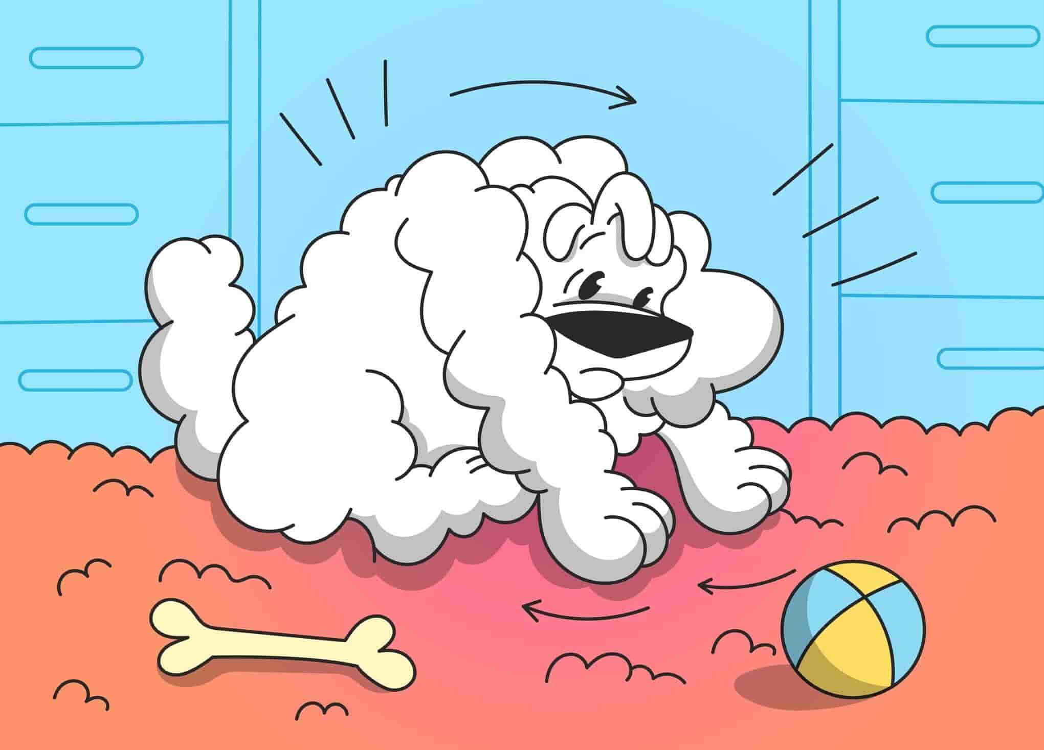 How to Understand Dog's Body Language