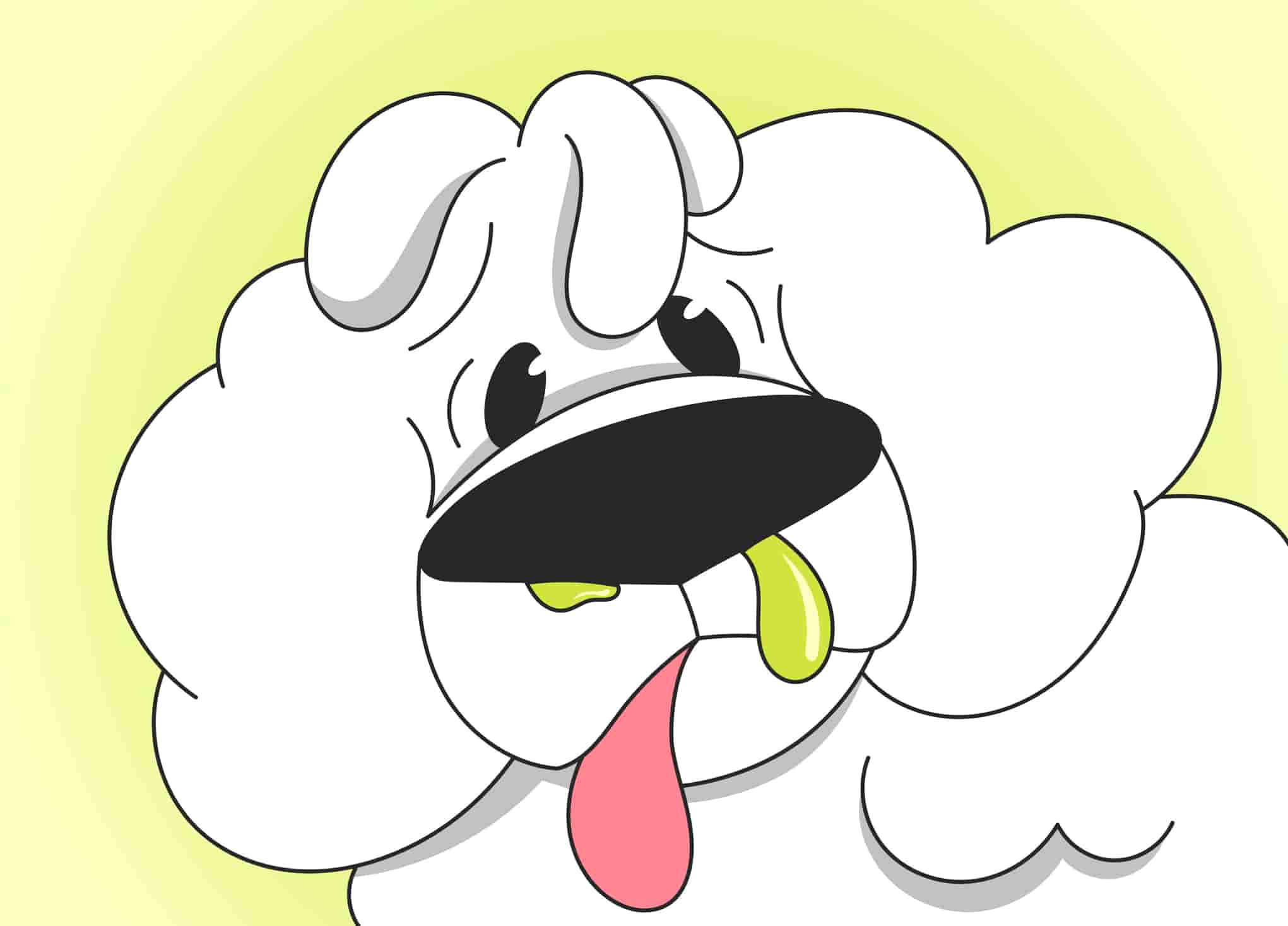 Why Is My Dog's Nose Running?