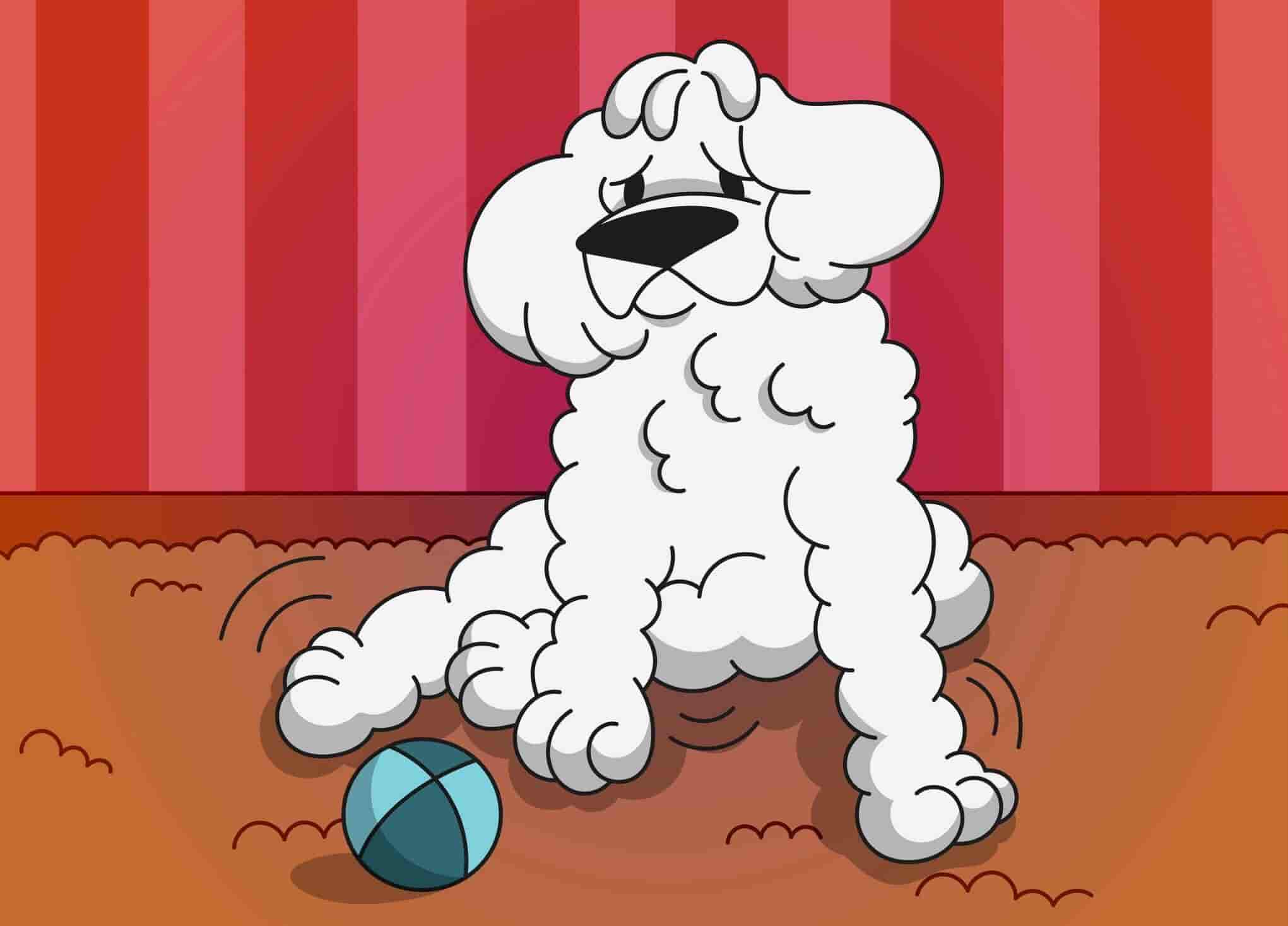 Arthritis in Dogs: Treating and Managing The Pain