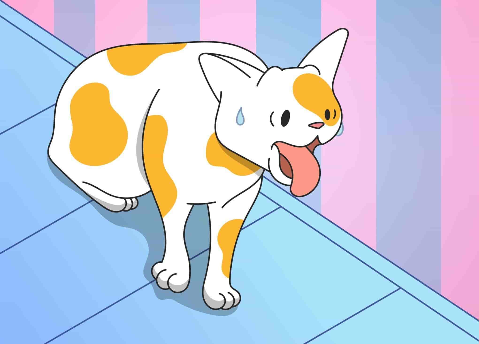 Why Is My Cat Gagging?