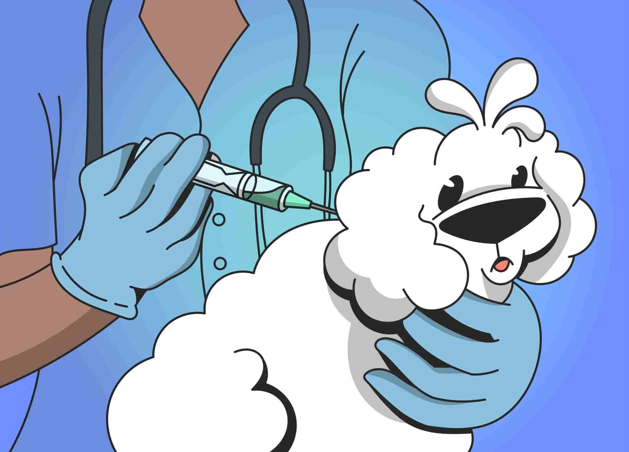 Pet Vaccinations Guide For Cats & Dogs