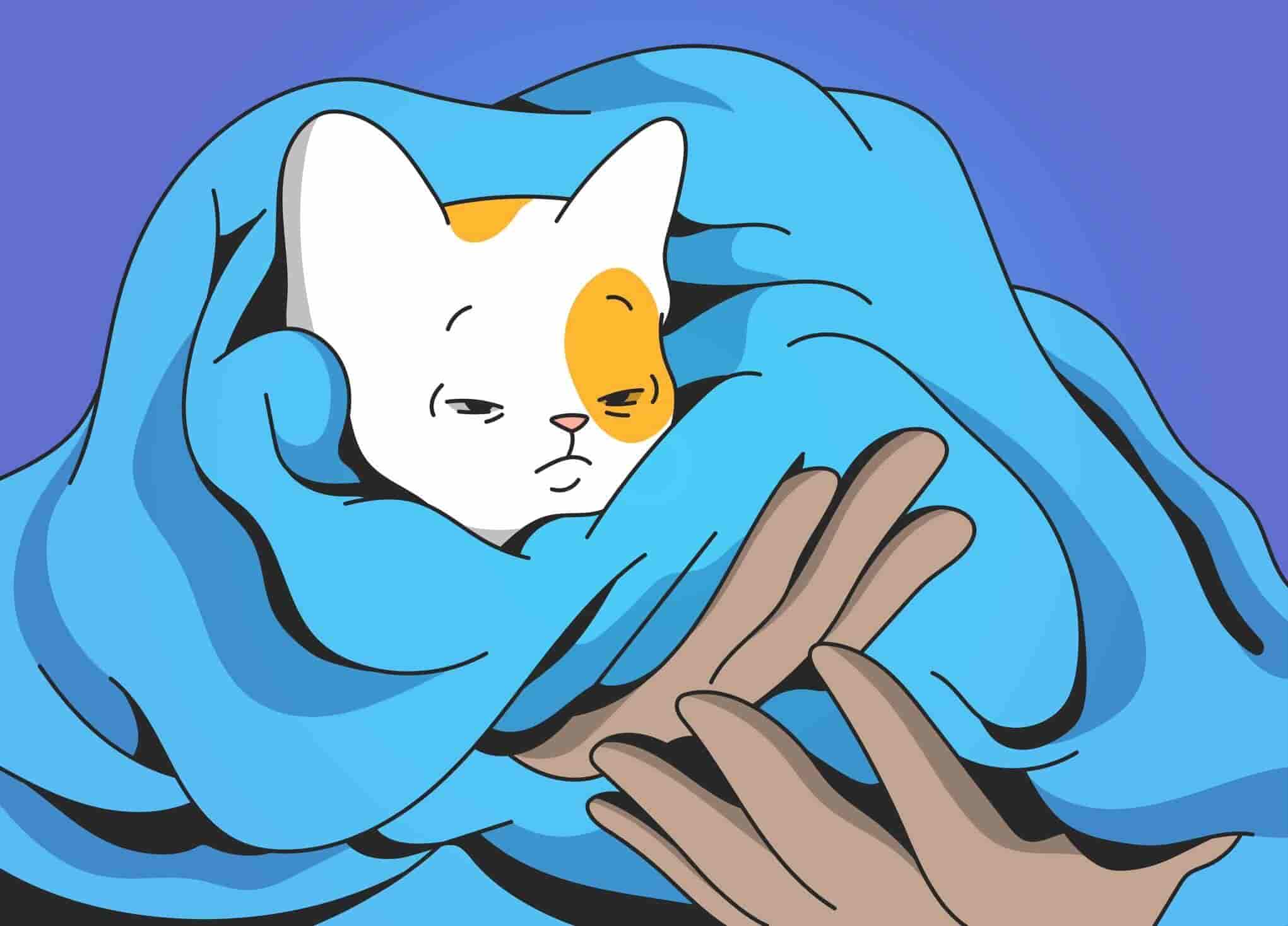 What Is Fading Kitten Syndrome?