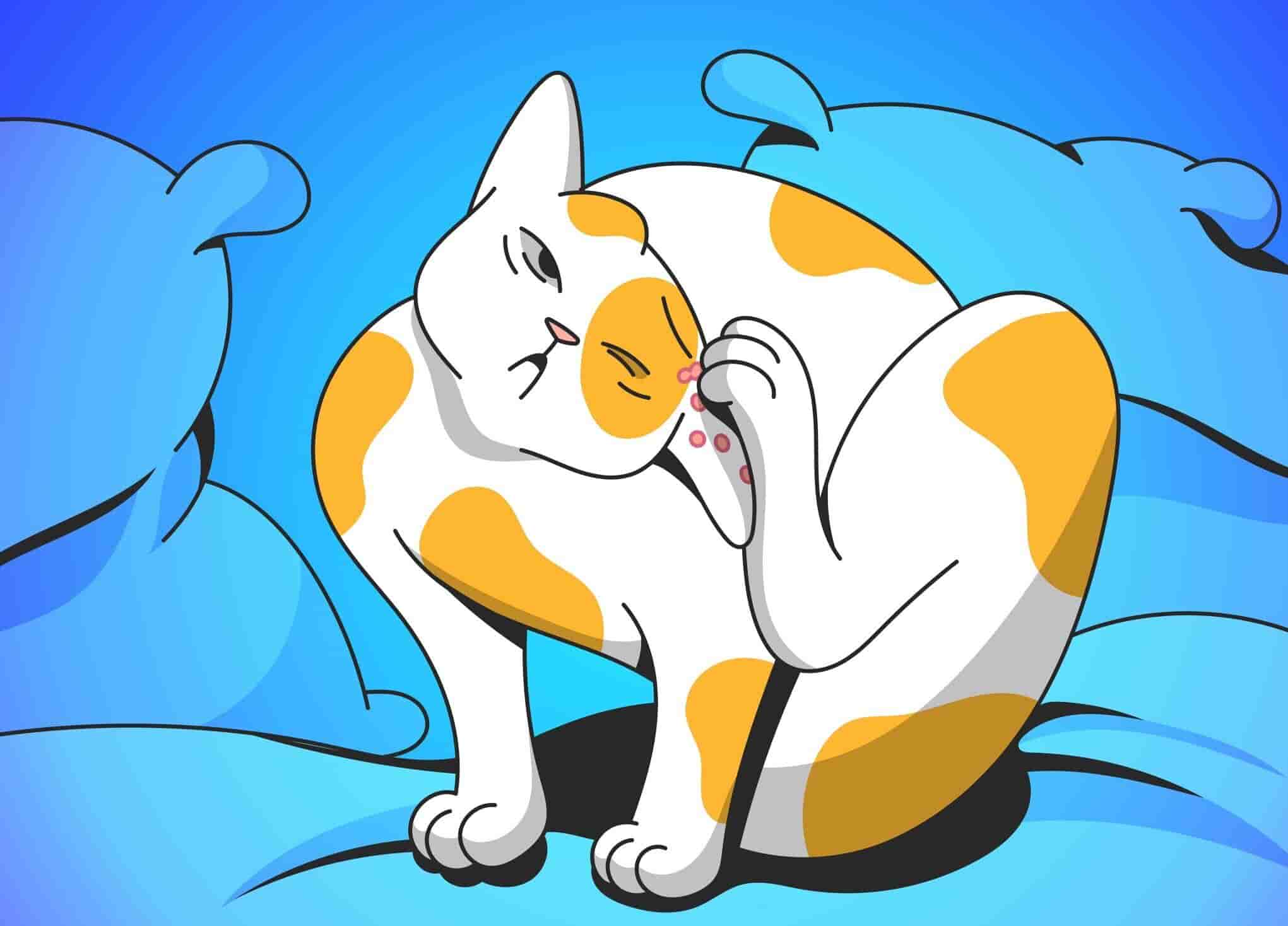 Cat Dermatitis: How To Help An Itchy Cat