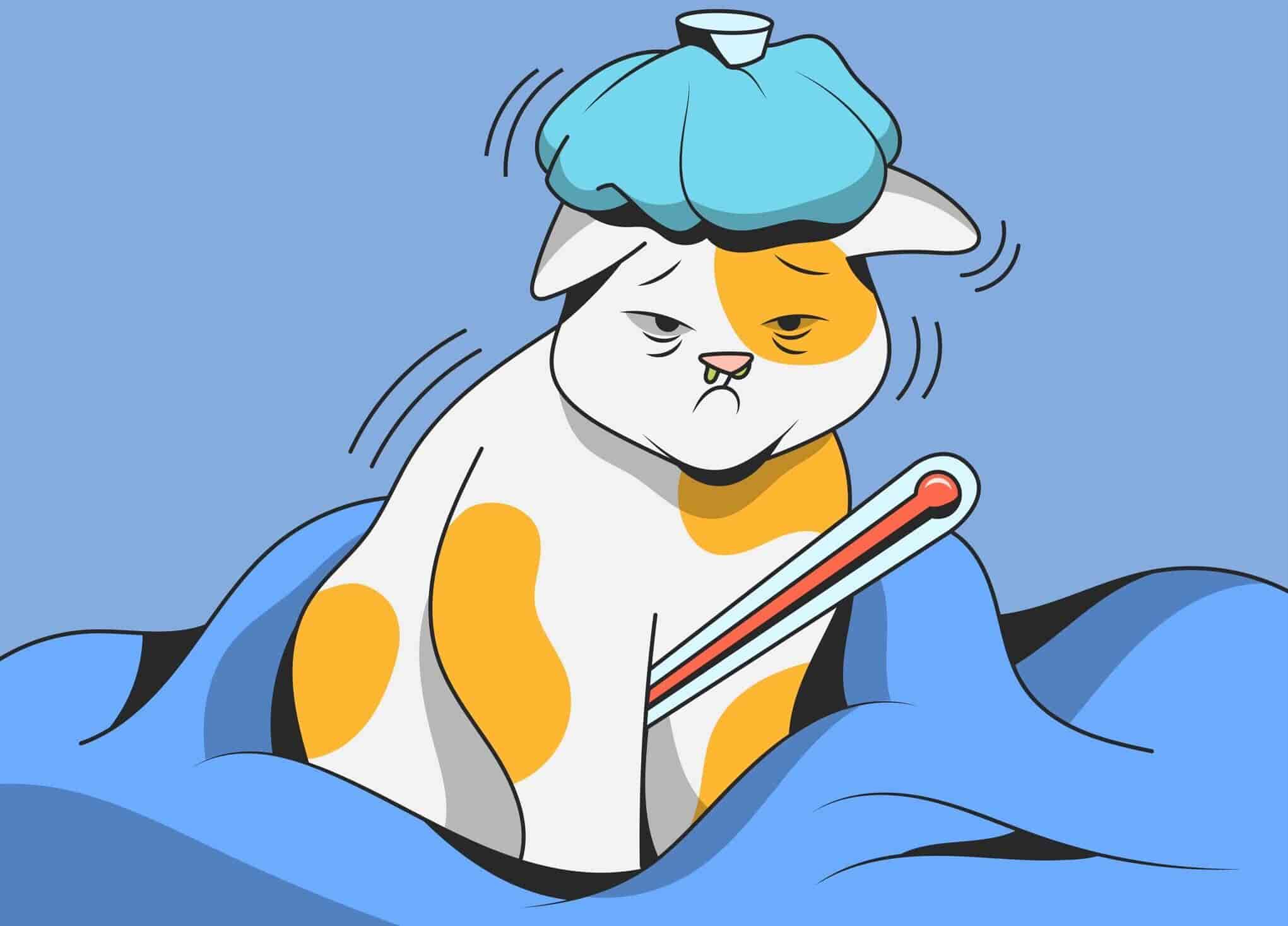 Fever In Cats: How To Tell If Cat Has Fever