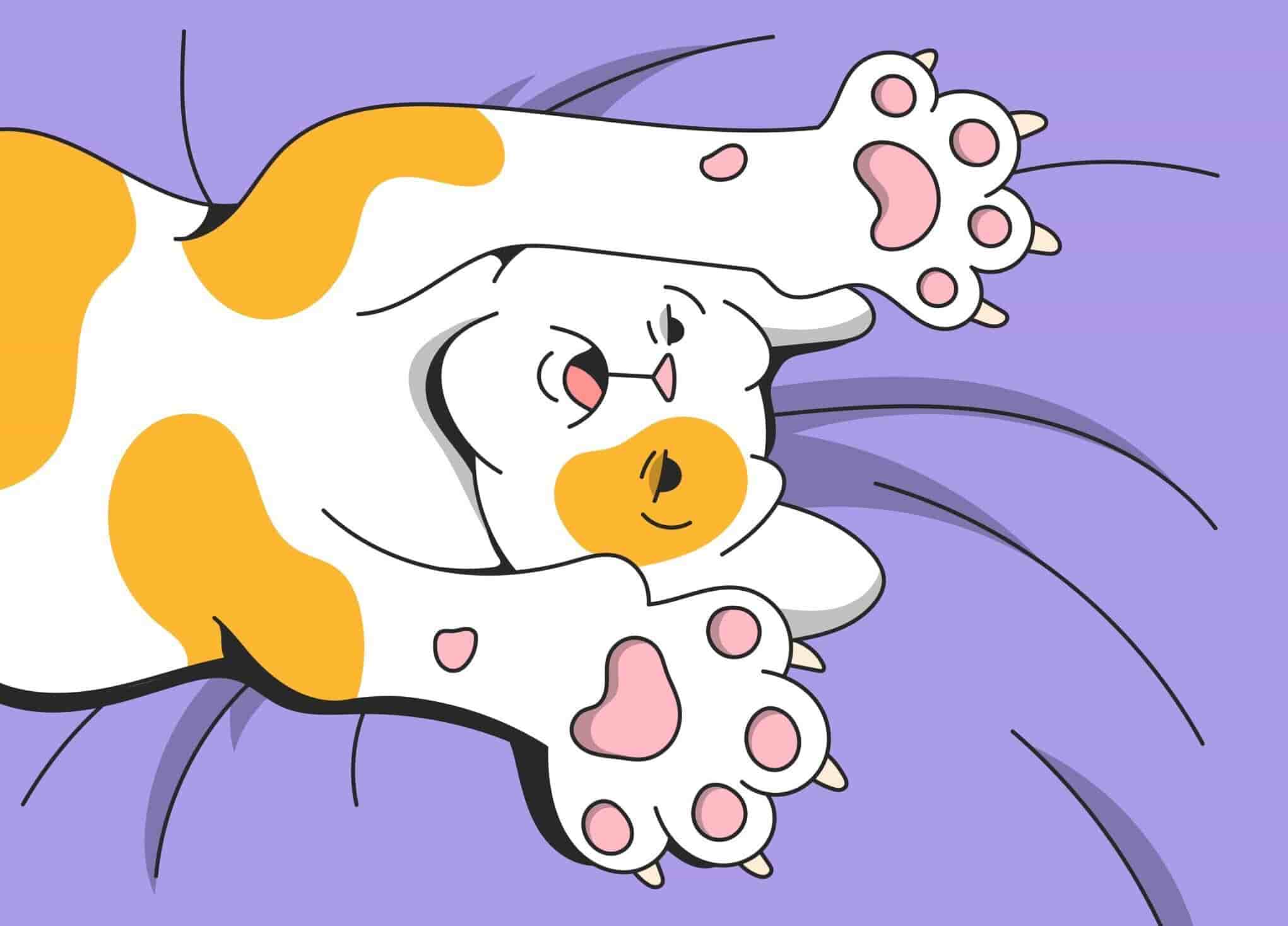 Can A Cat Have ADHD?