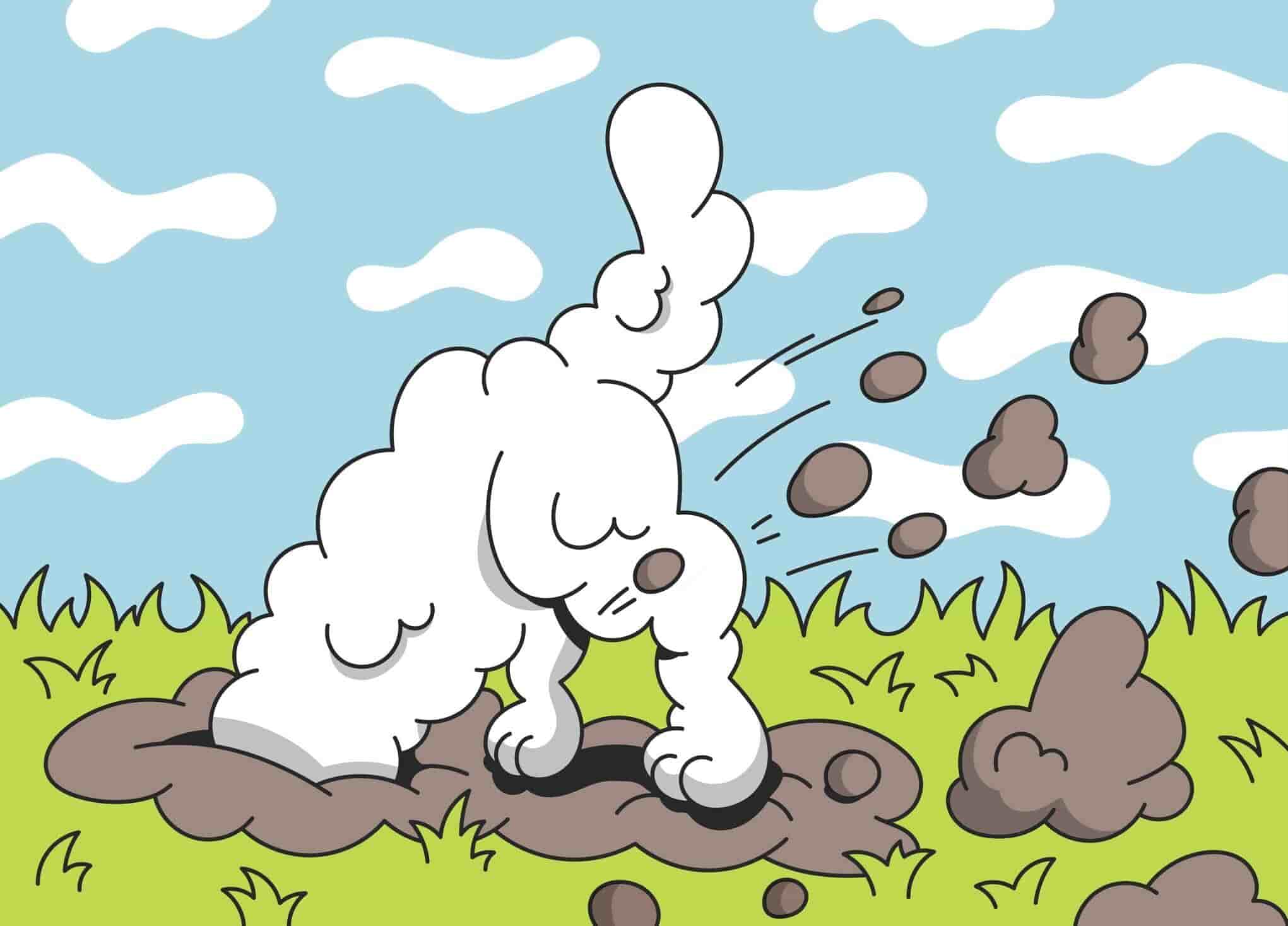 How To Keep Your Dog From Digging