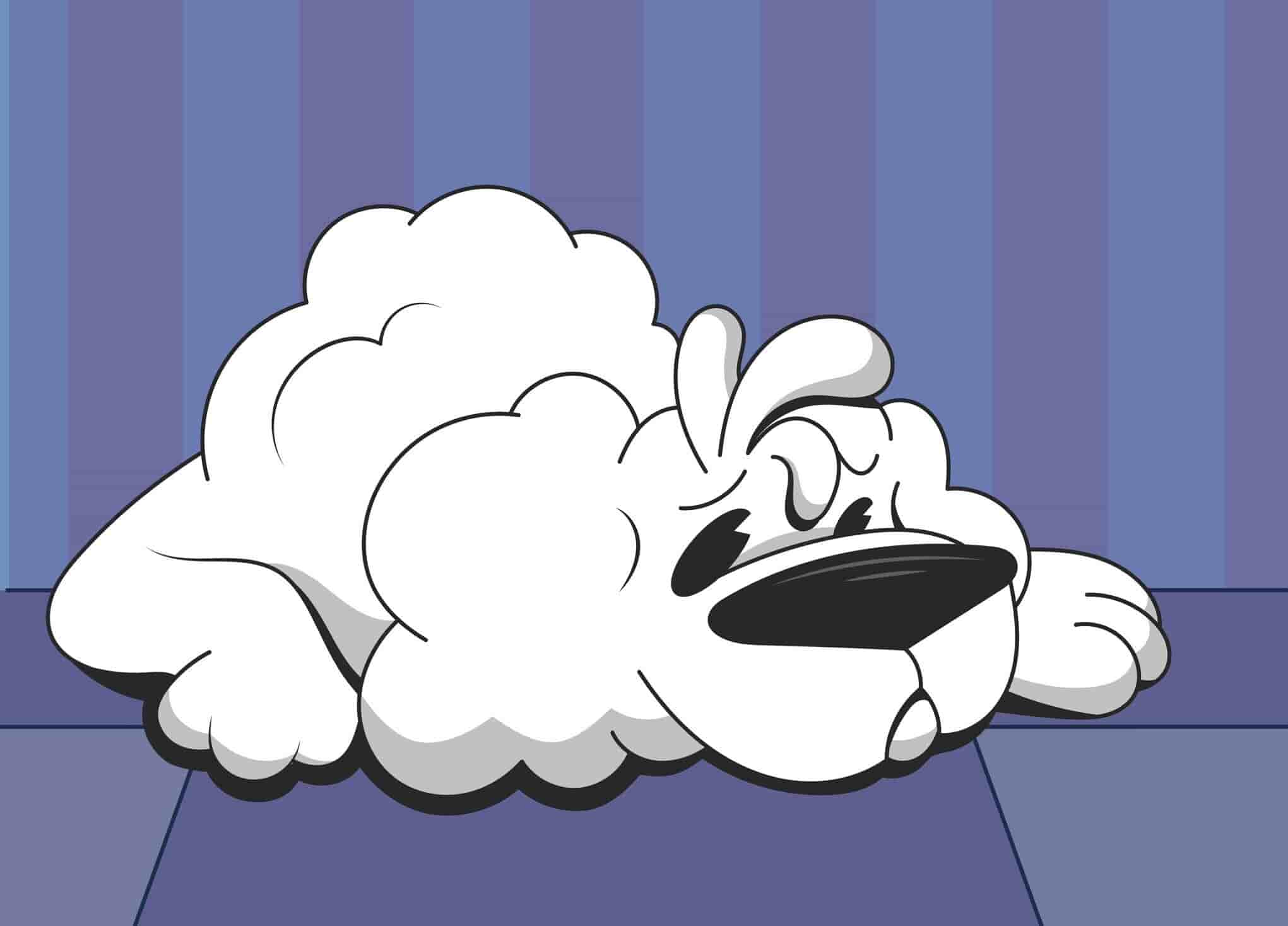 What You Really Need To Know About Dry Nose In Dogs