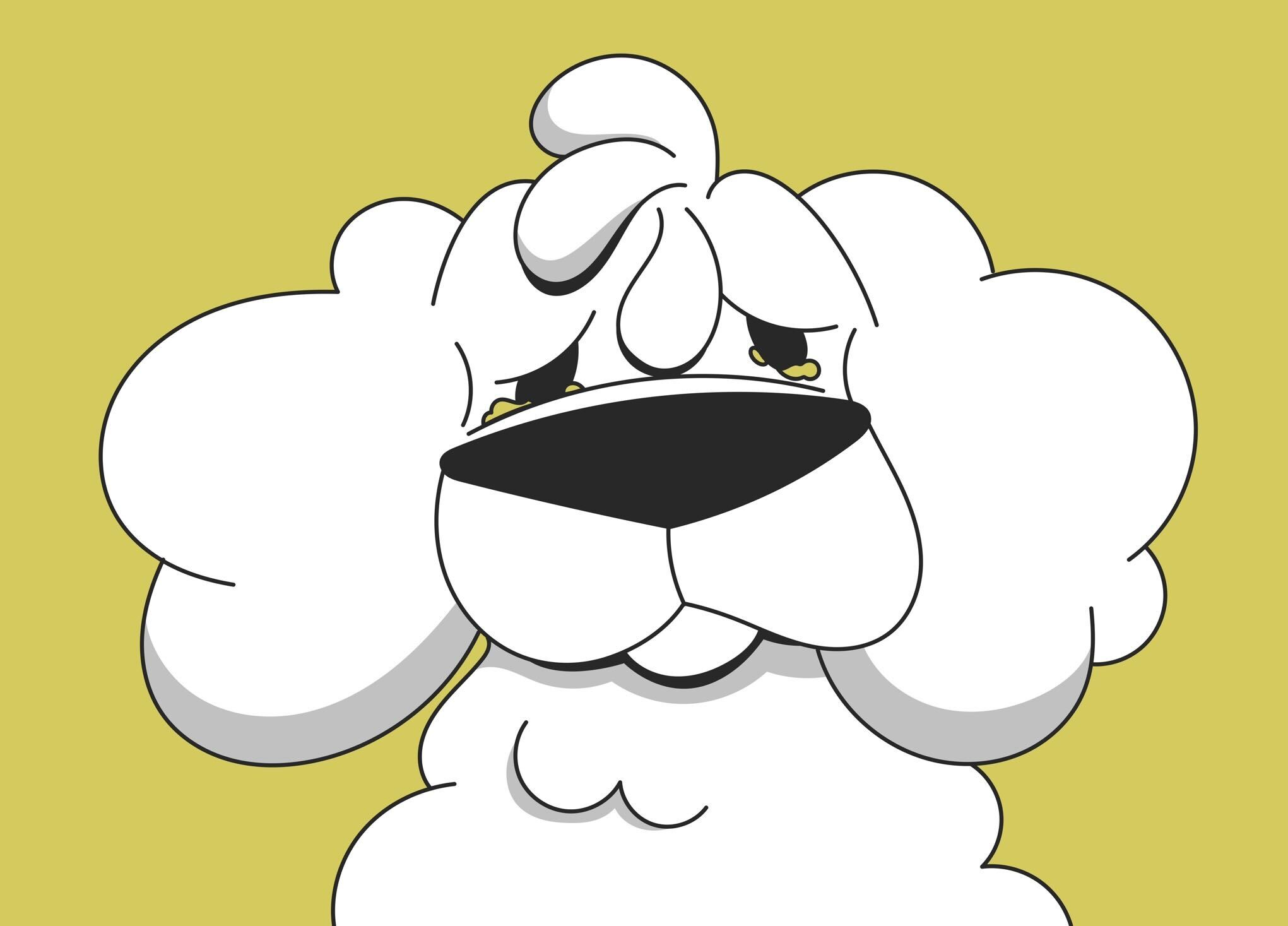 Eye Infections In Dogs: Causes, Symptoms, And Treatment