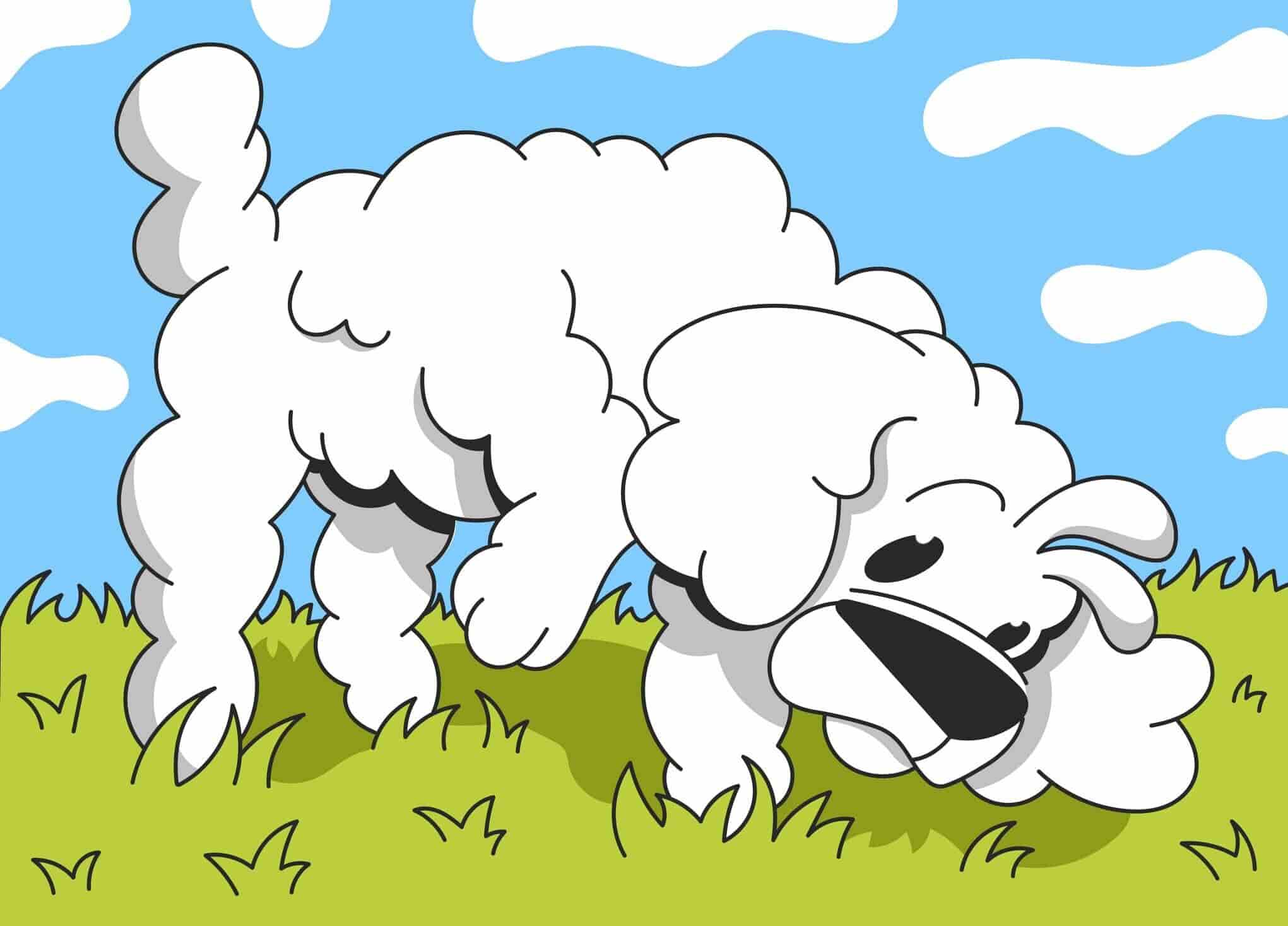 Dog Sniffing Explained