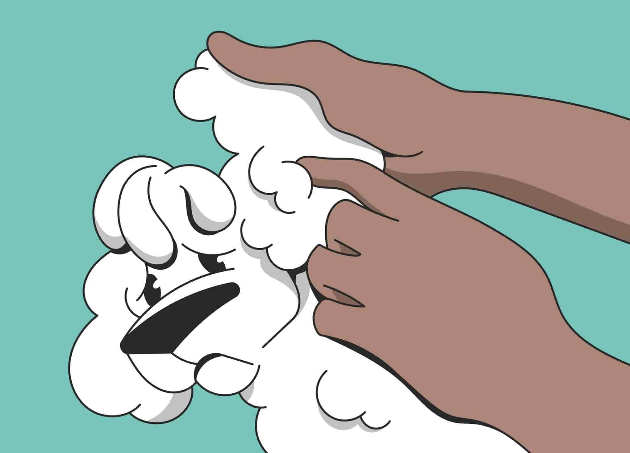 Ear Infections in Dogs: Symptoms, Causes, Treatment, and Prevention