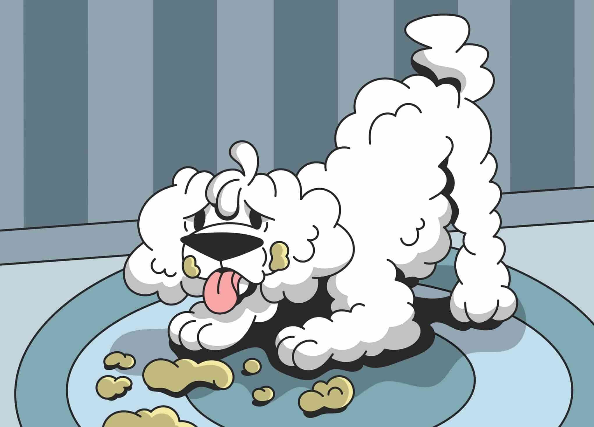 Dog Pancreatitis: Signs, Causes, and Treatment