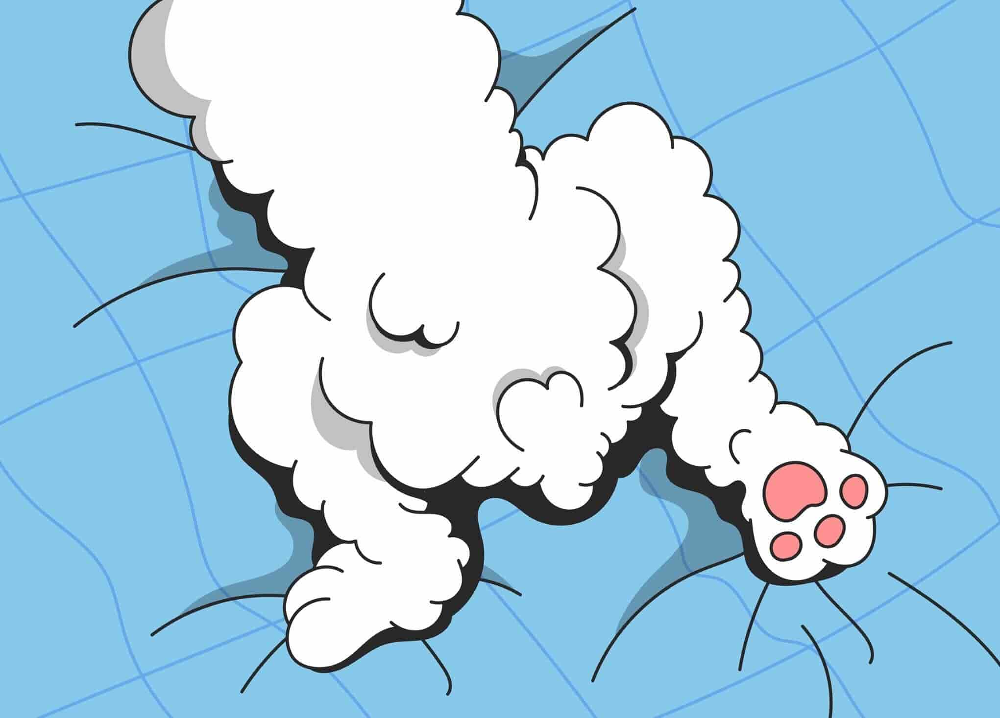 What is Hip Dysplasia in Dogs?