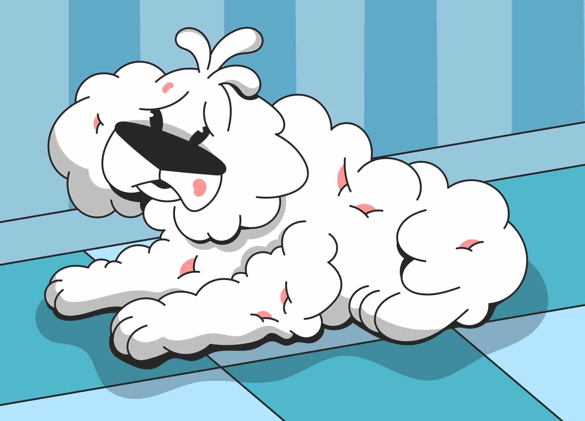 Dog Ringworm: Causes, Symptoms, Treatment