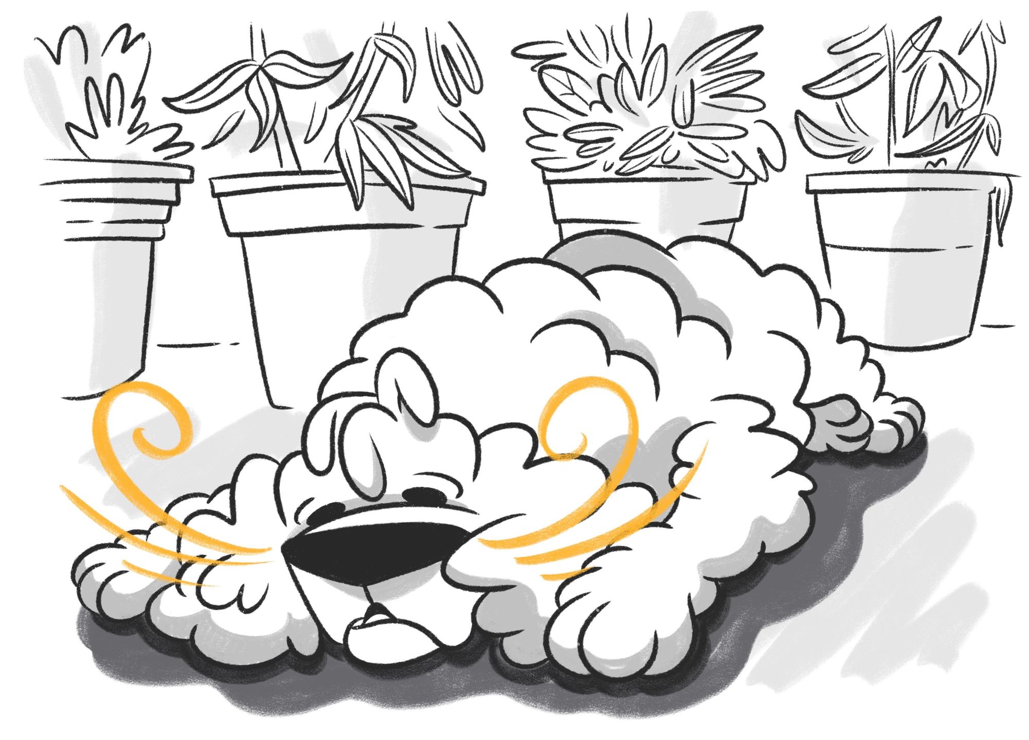 Congestion in Dogs: When Should You Worry?